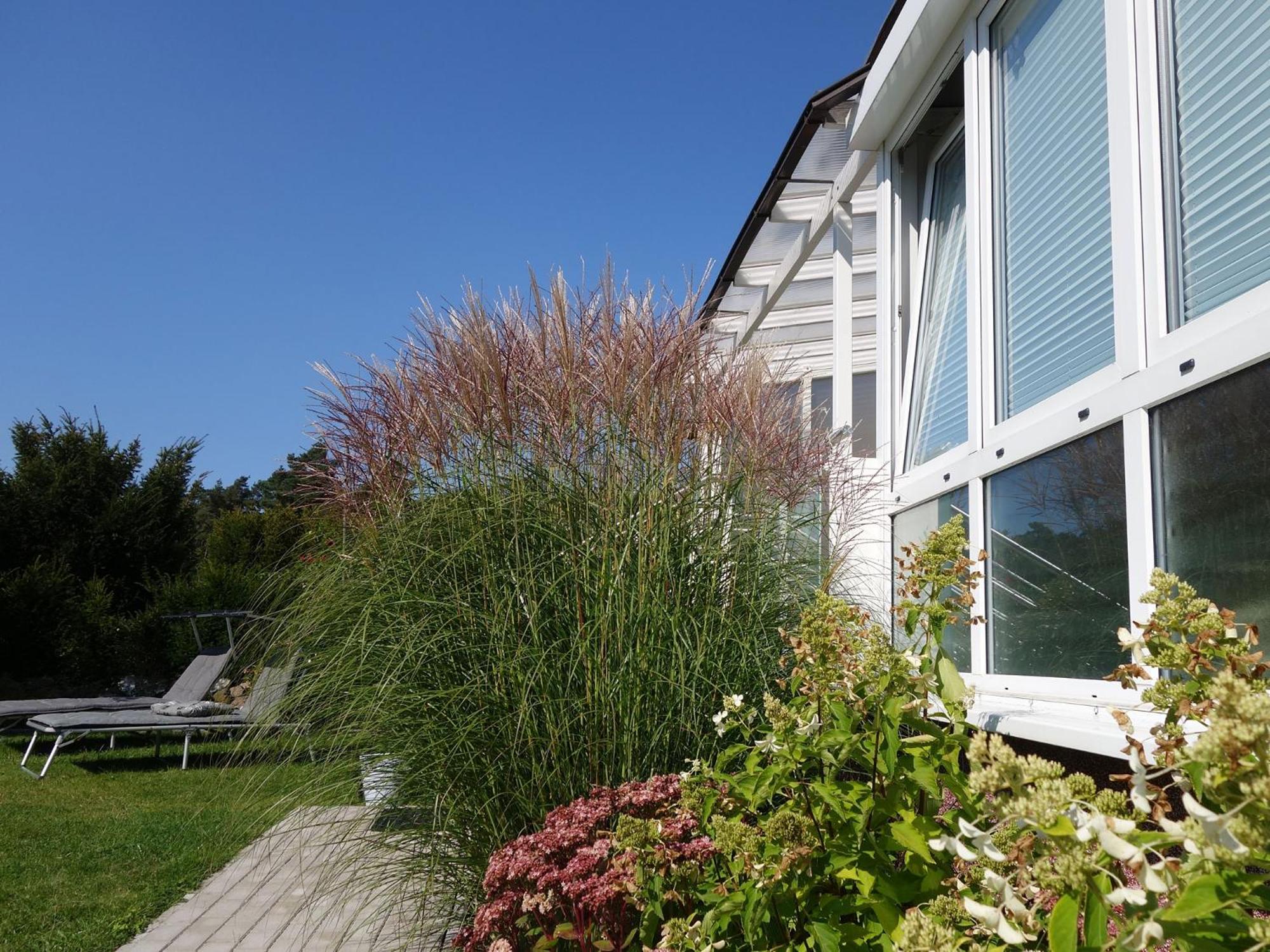 Ferienhaus am See mit Ruderboot