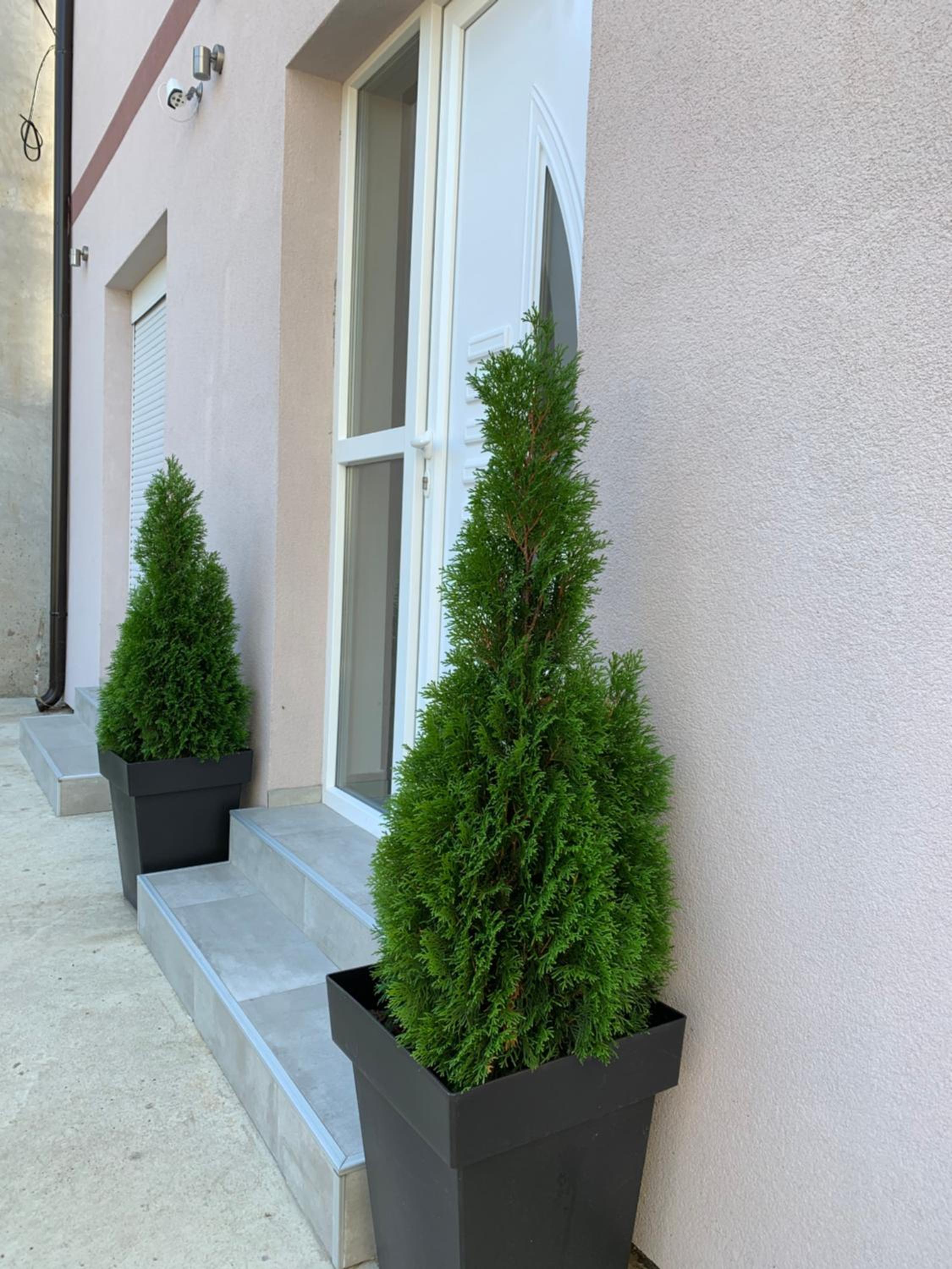 Apartman Spring
