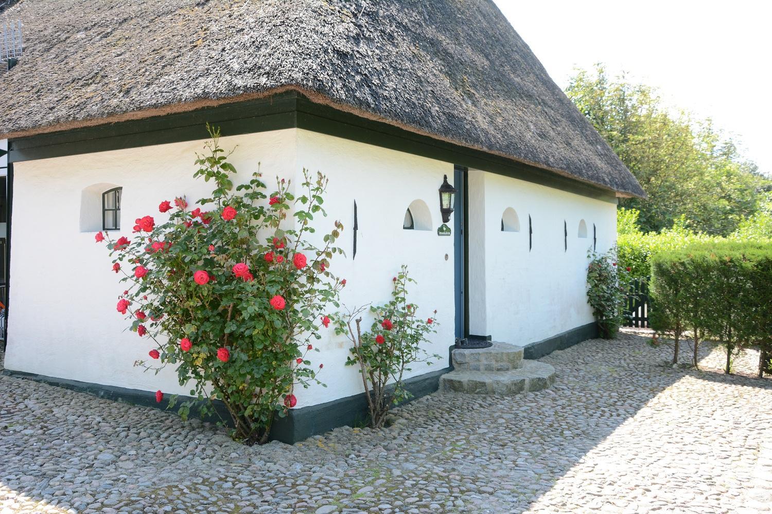 FÖHRIENHAUS stilvolle 5 Sterne Einheiten in ruhiger Marschrandlage auf Föhr für Gäste, die das Besondere schätzen, gerne auch mit Hund