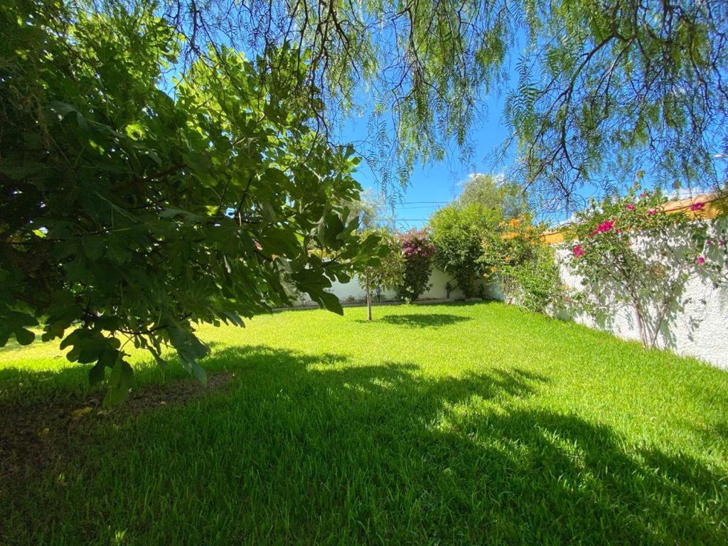 Photo 20