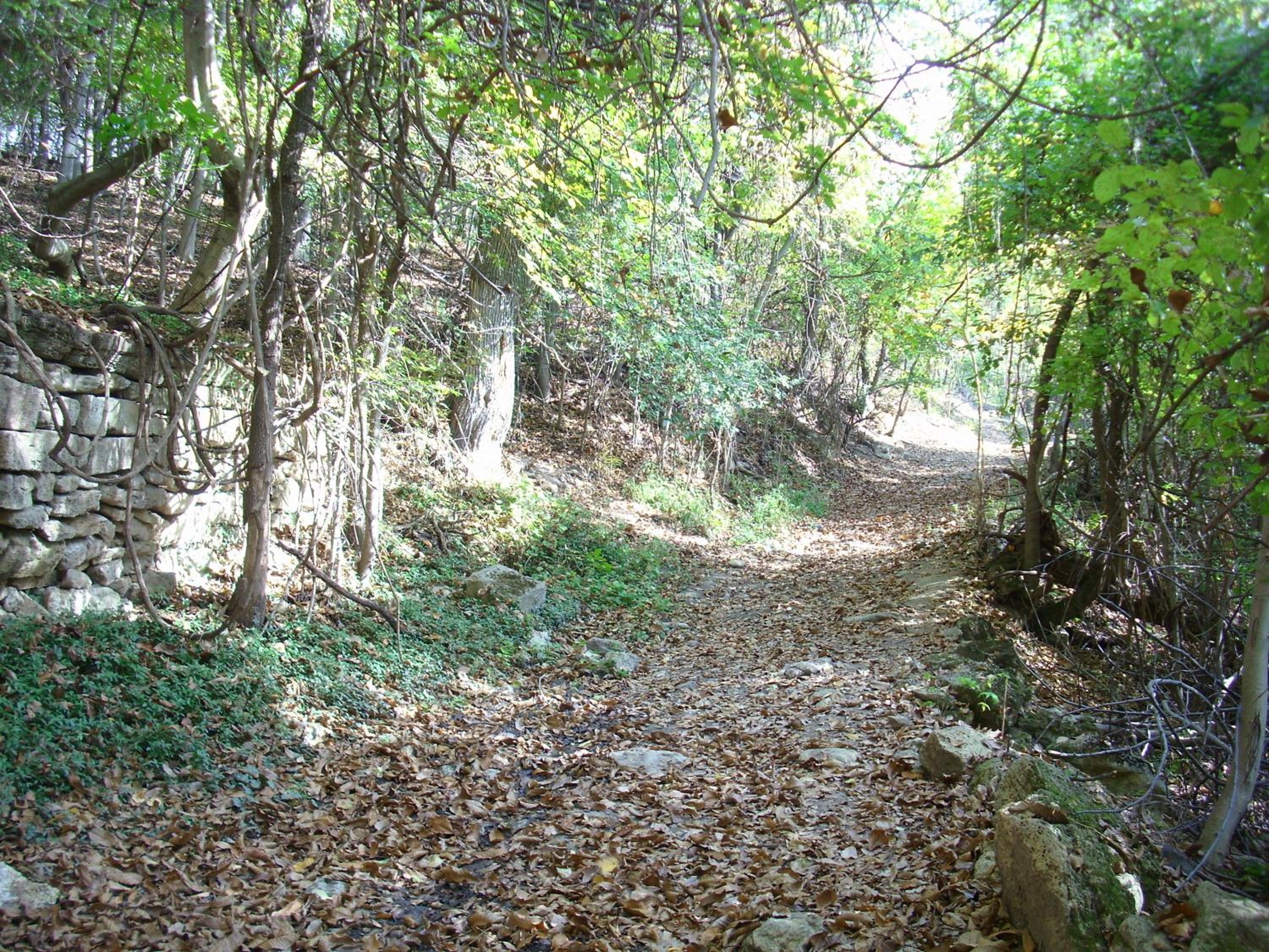 Photo 27