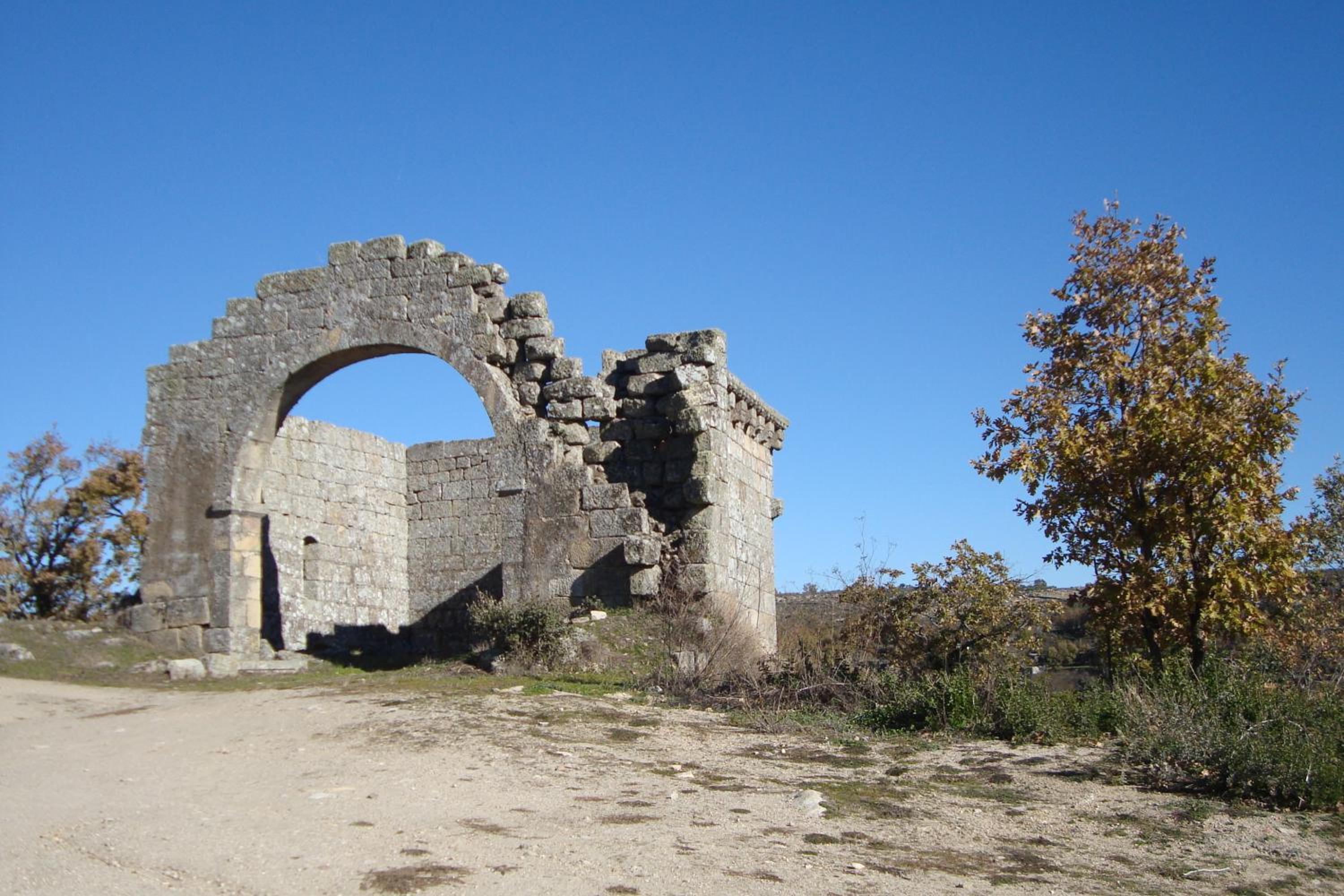 Photo 41