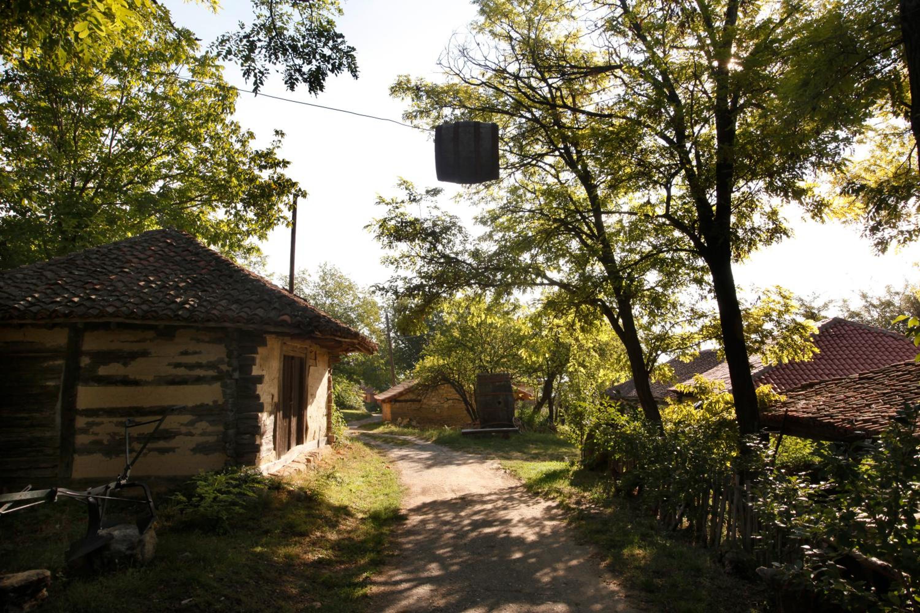 Photo 17