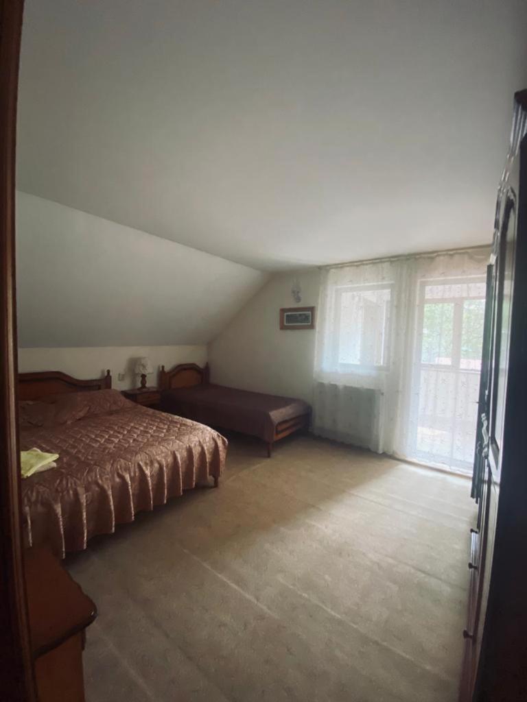 Pensiunea Casa Domniței Sucevița view 2