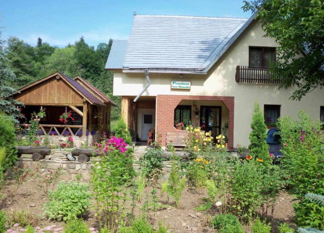 Pensiunea Casa Domniței Sucevița view 3