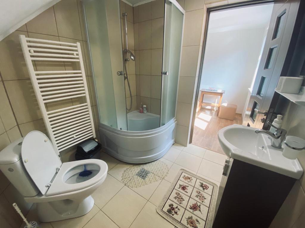Pensiunea Casa Domniței Sucevița view 4