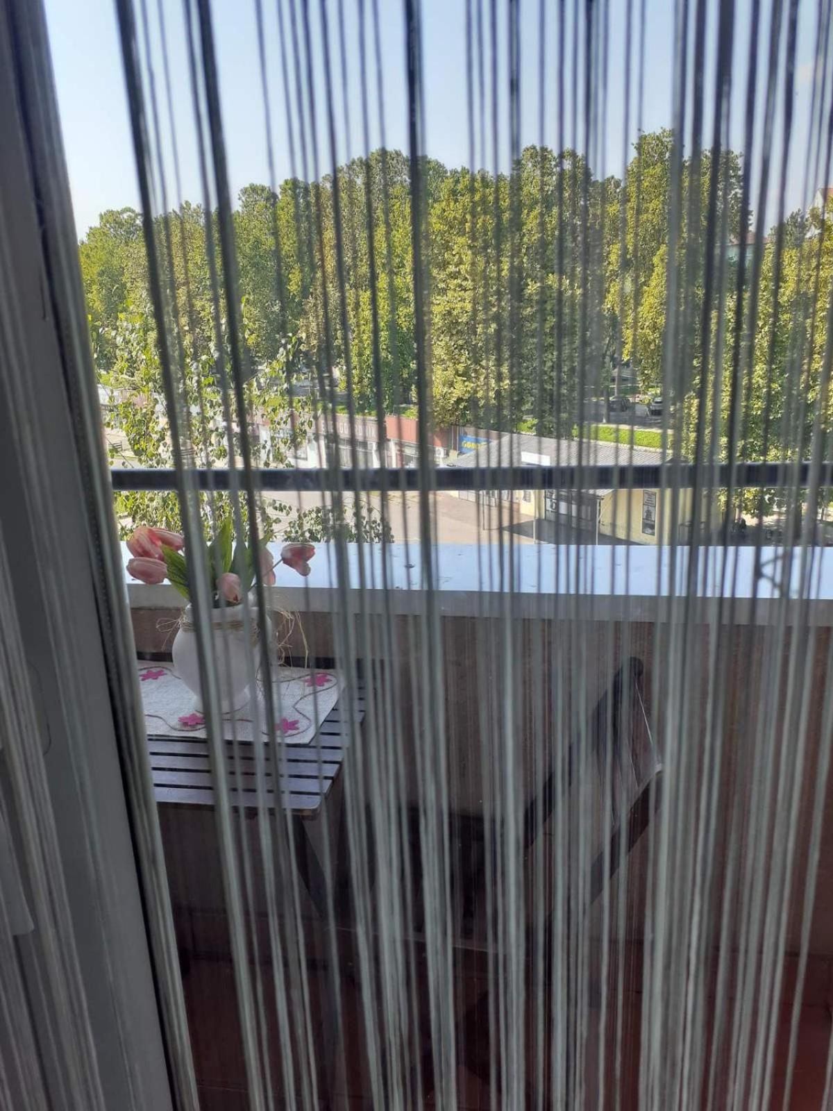 Loznicki stan na dan 2 - stan na dan Loznica view 5