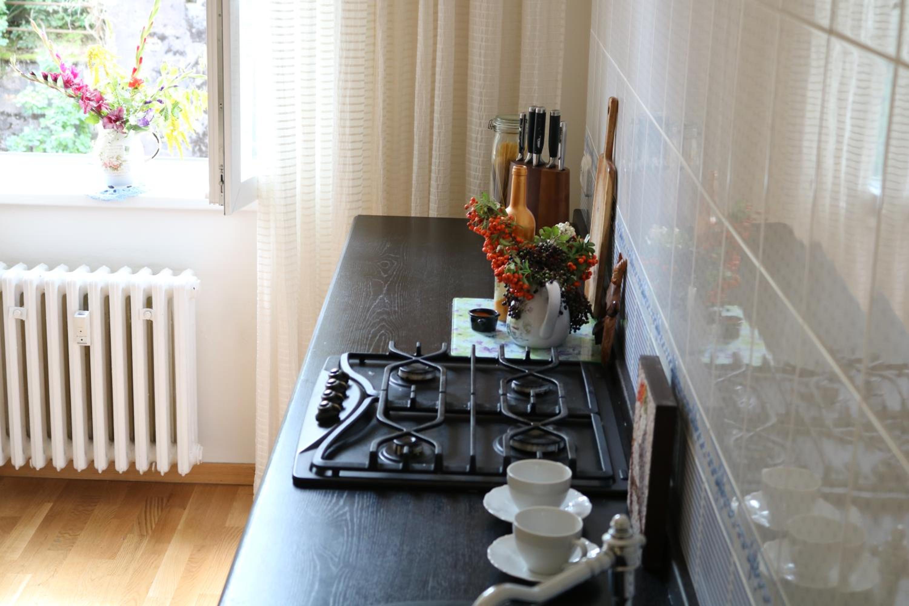 Retro big Apartment with two balconies and lift