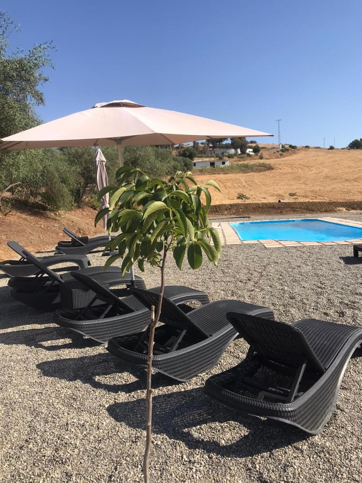 Casa del Pino by Rosas Cantares photo 3