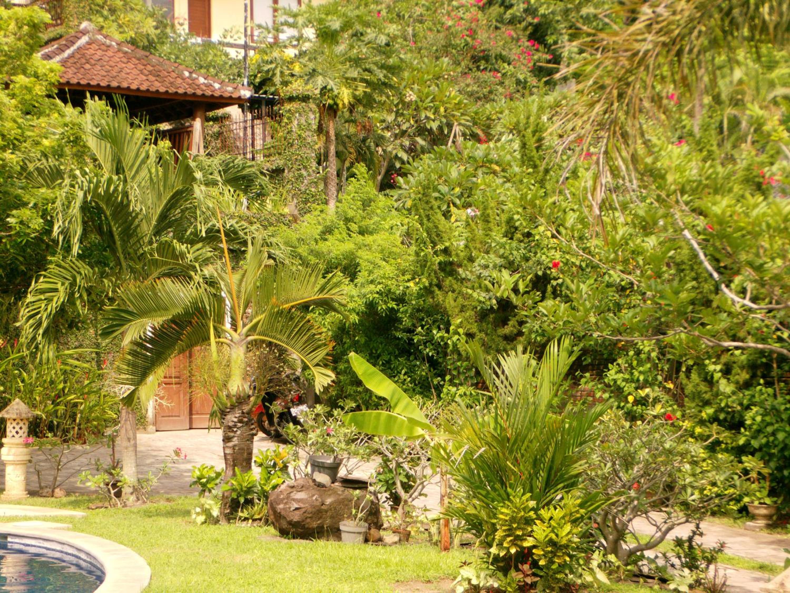 Sunset Villa, Senggigi  - 19