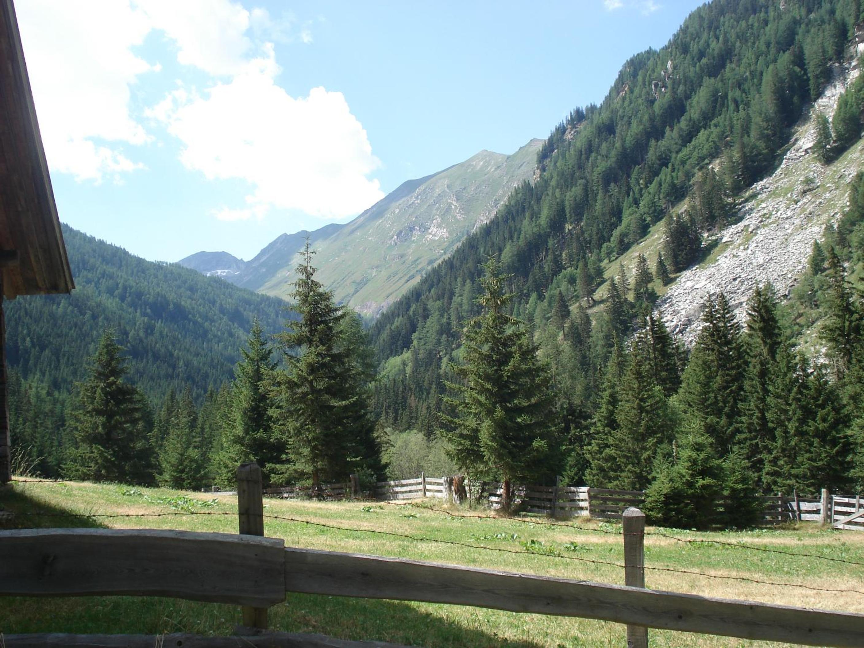 Photo 40