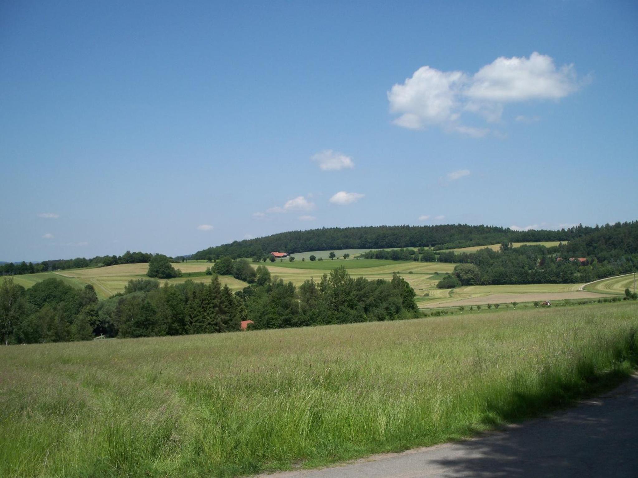 Photo 45