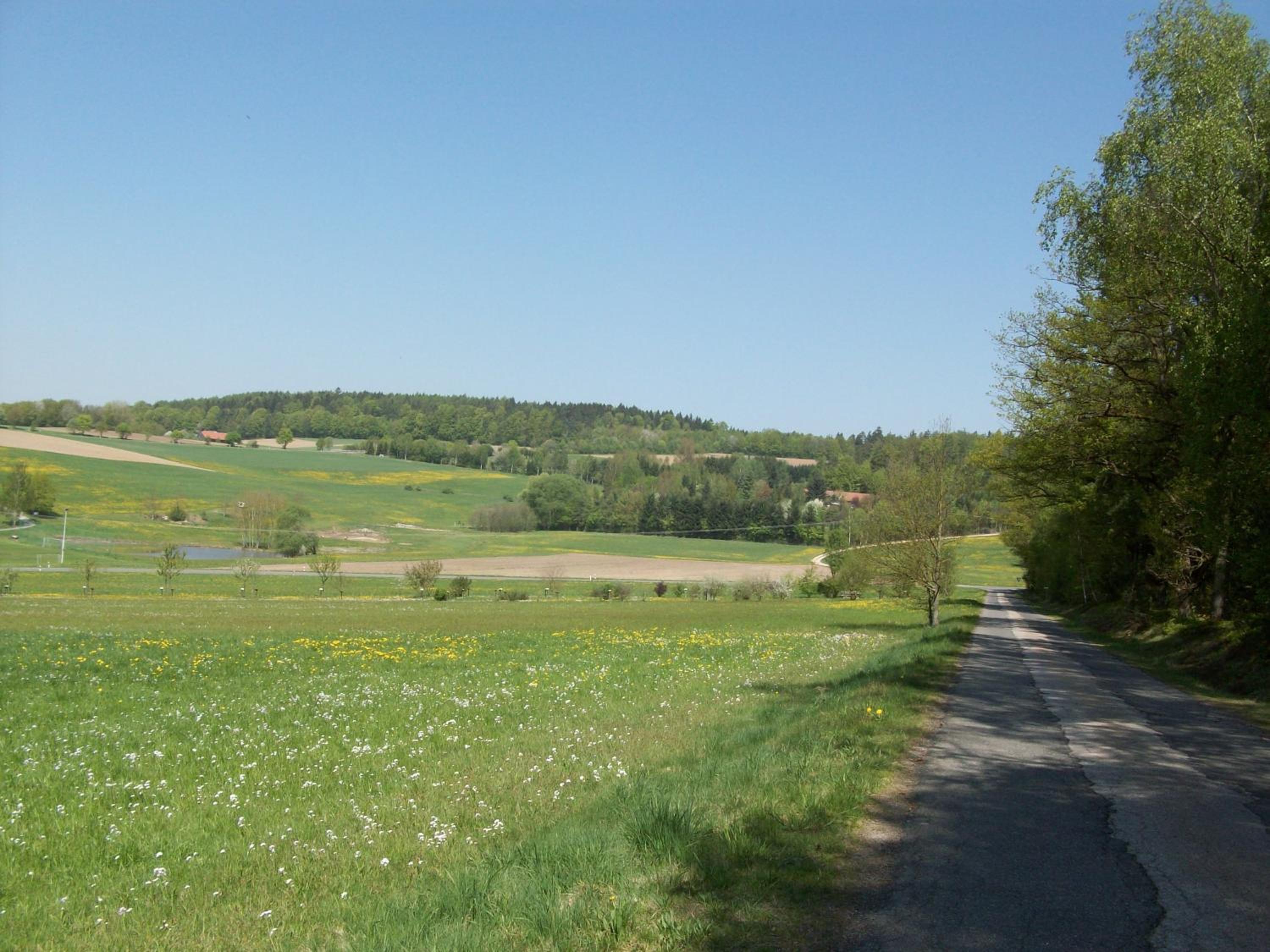 Photo 46