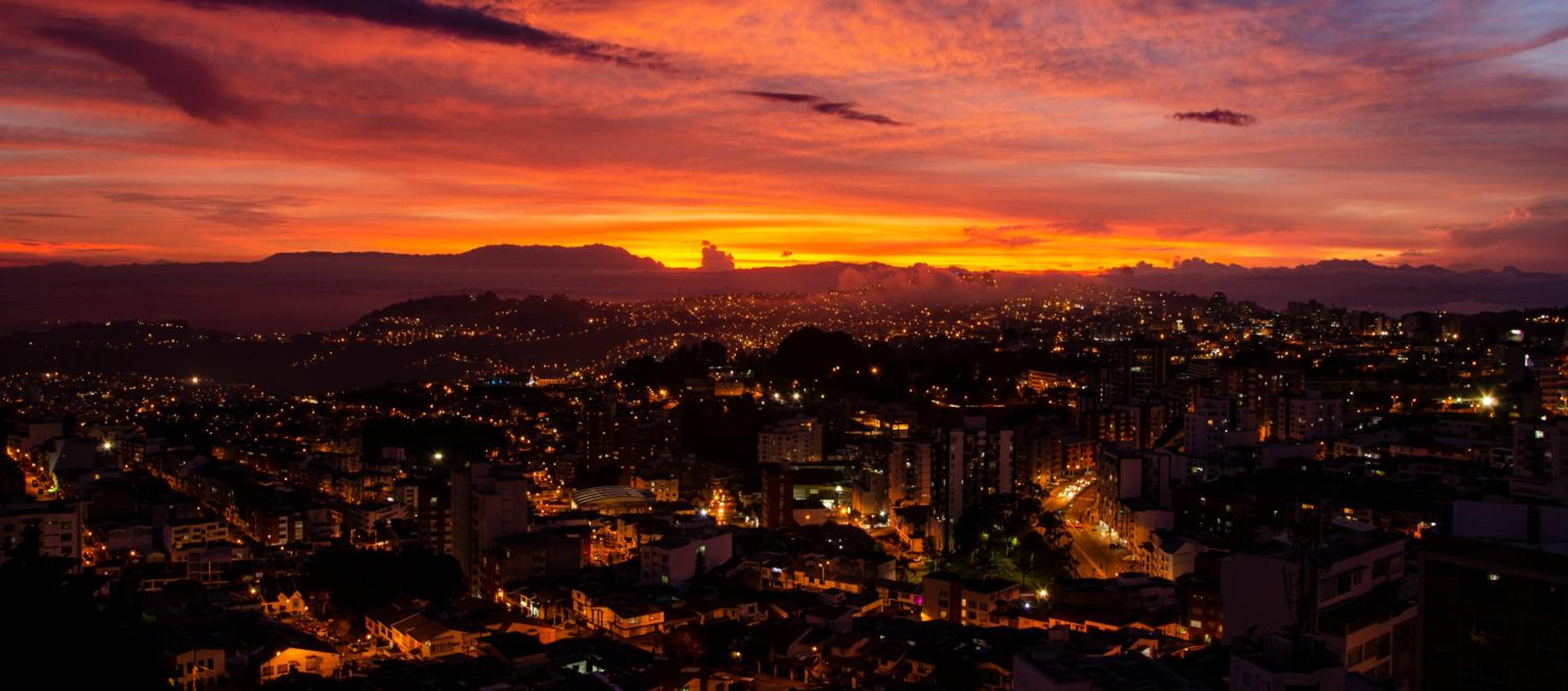Golden Frog Manizales