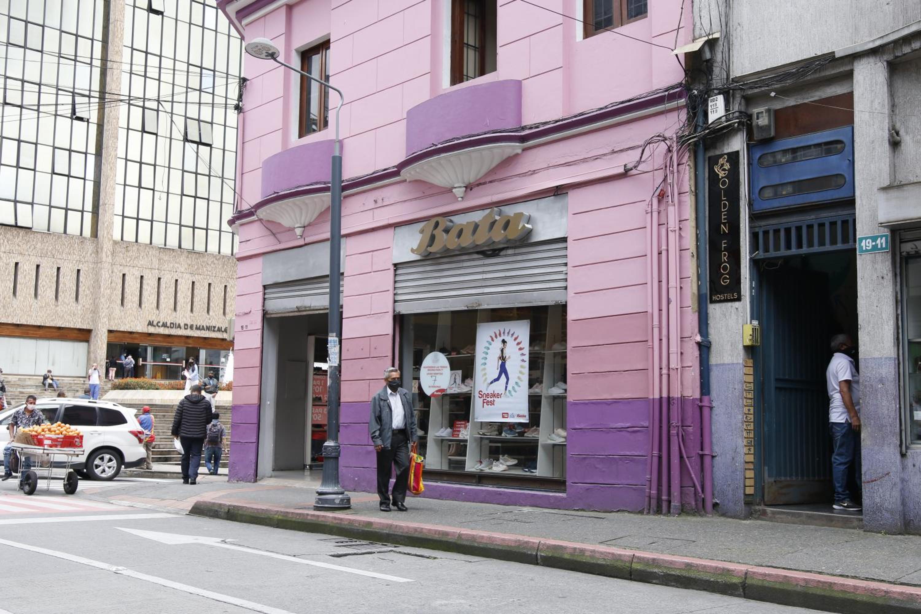 Golden Frog Manizales
