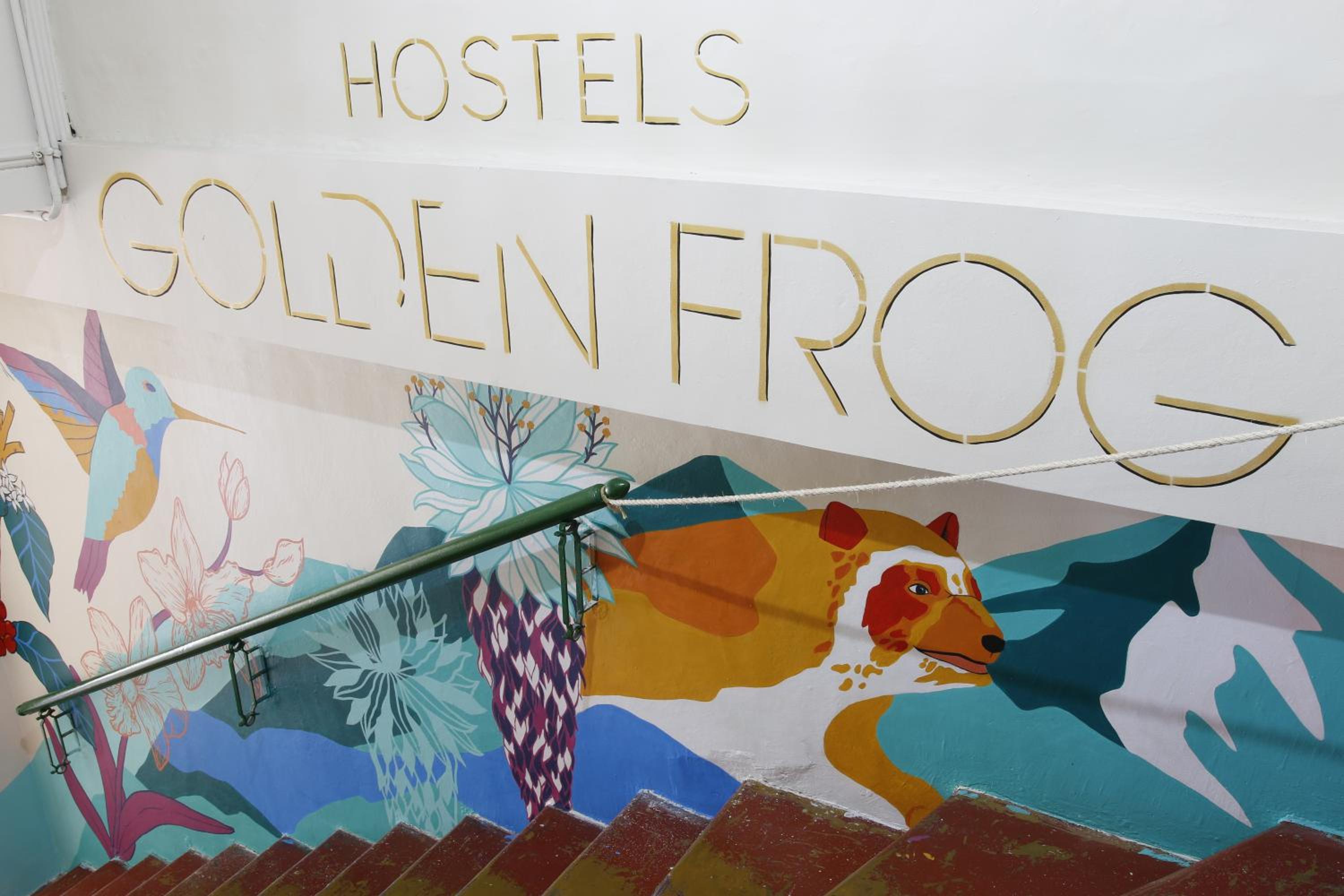 Golden Frog Manizales