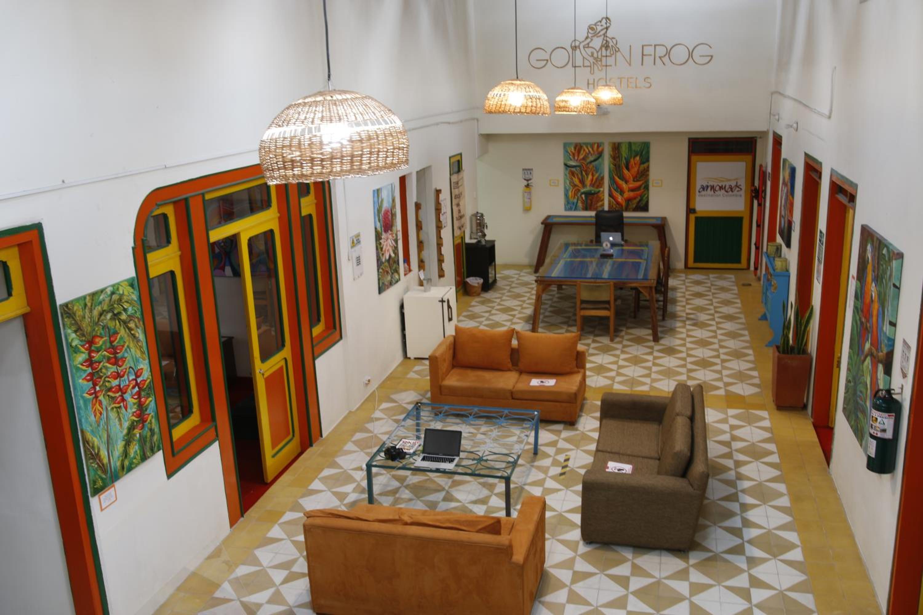Golden Frog Manizales