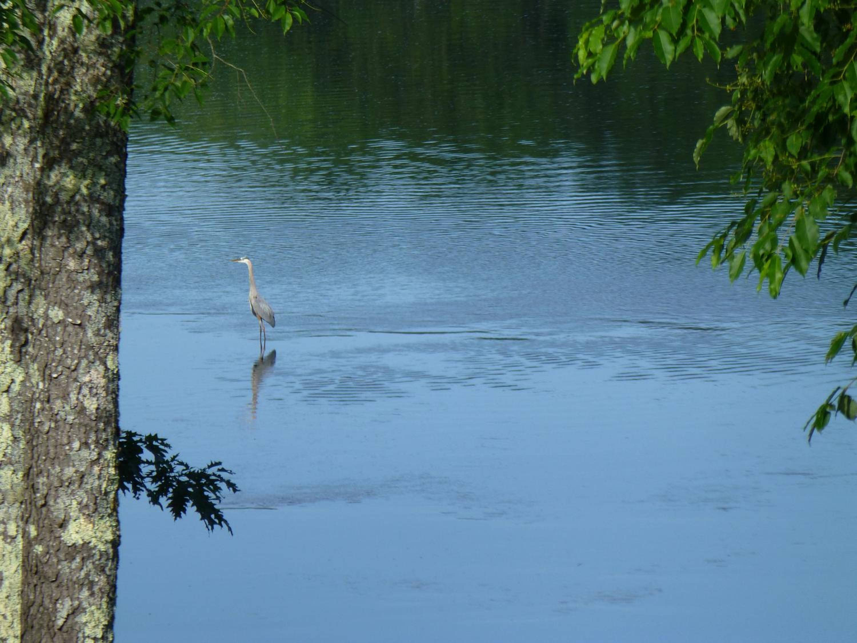 Riverhouse - Property Image 79