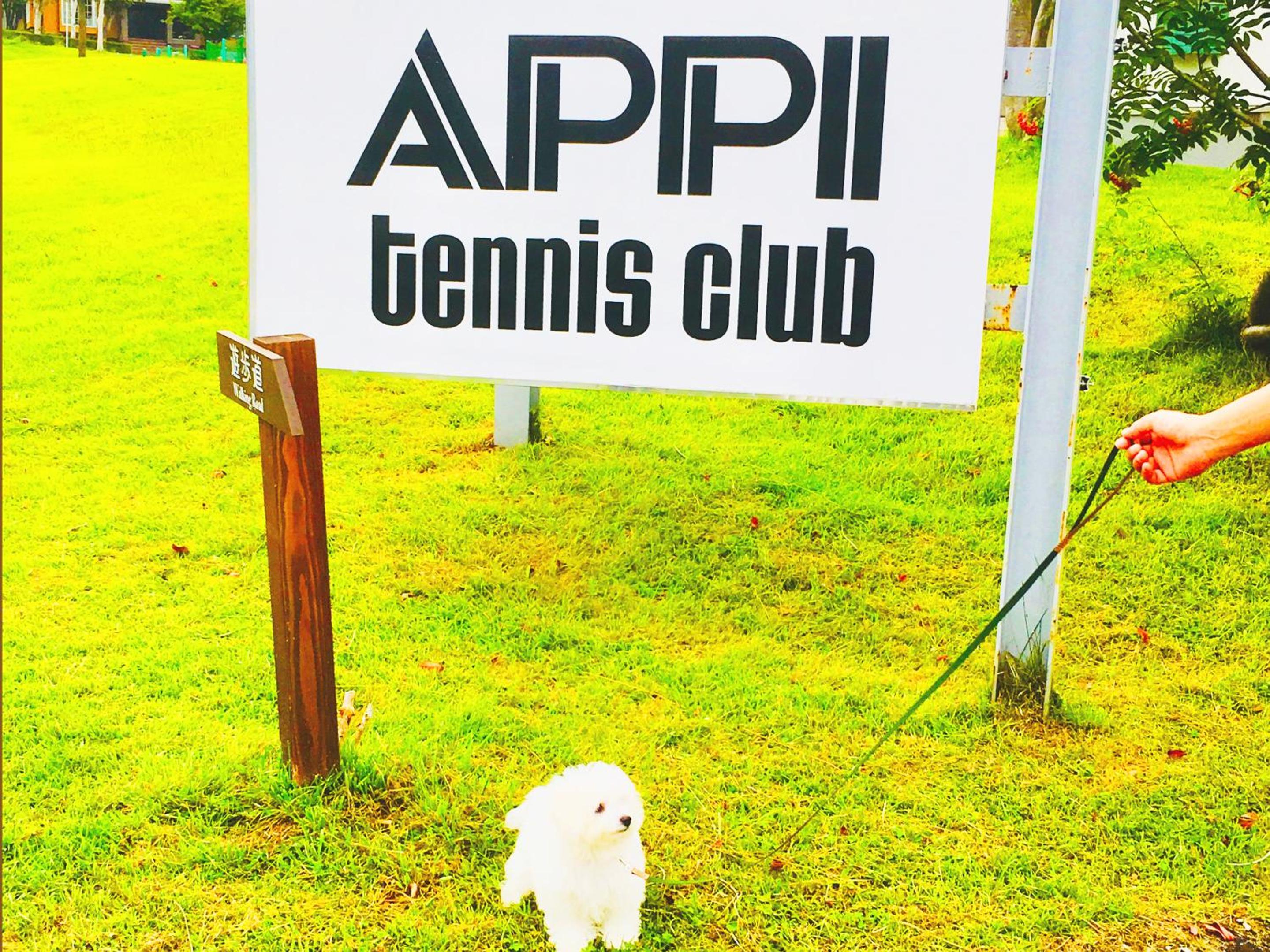 Appi Arts Color