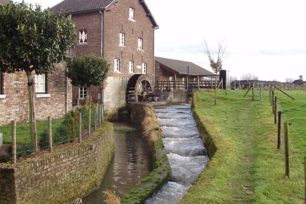 Photo 41