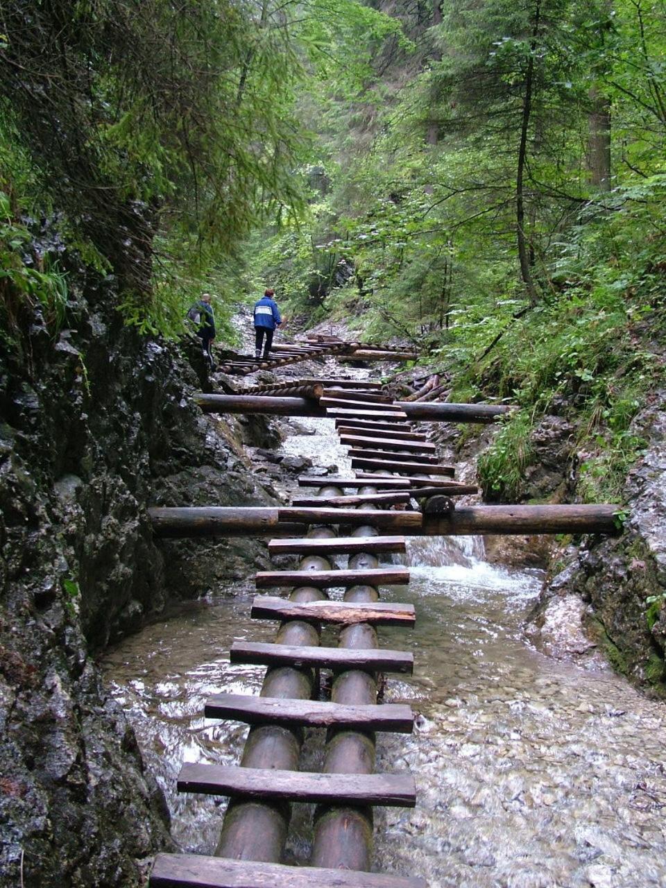 Photo 29