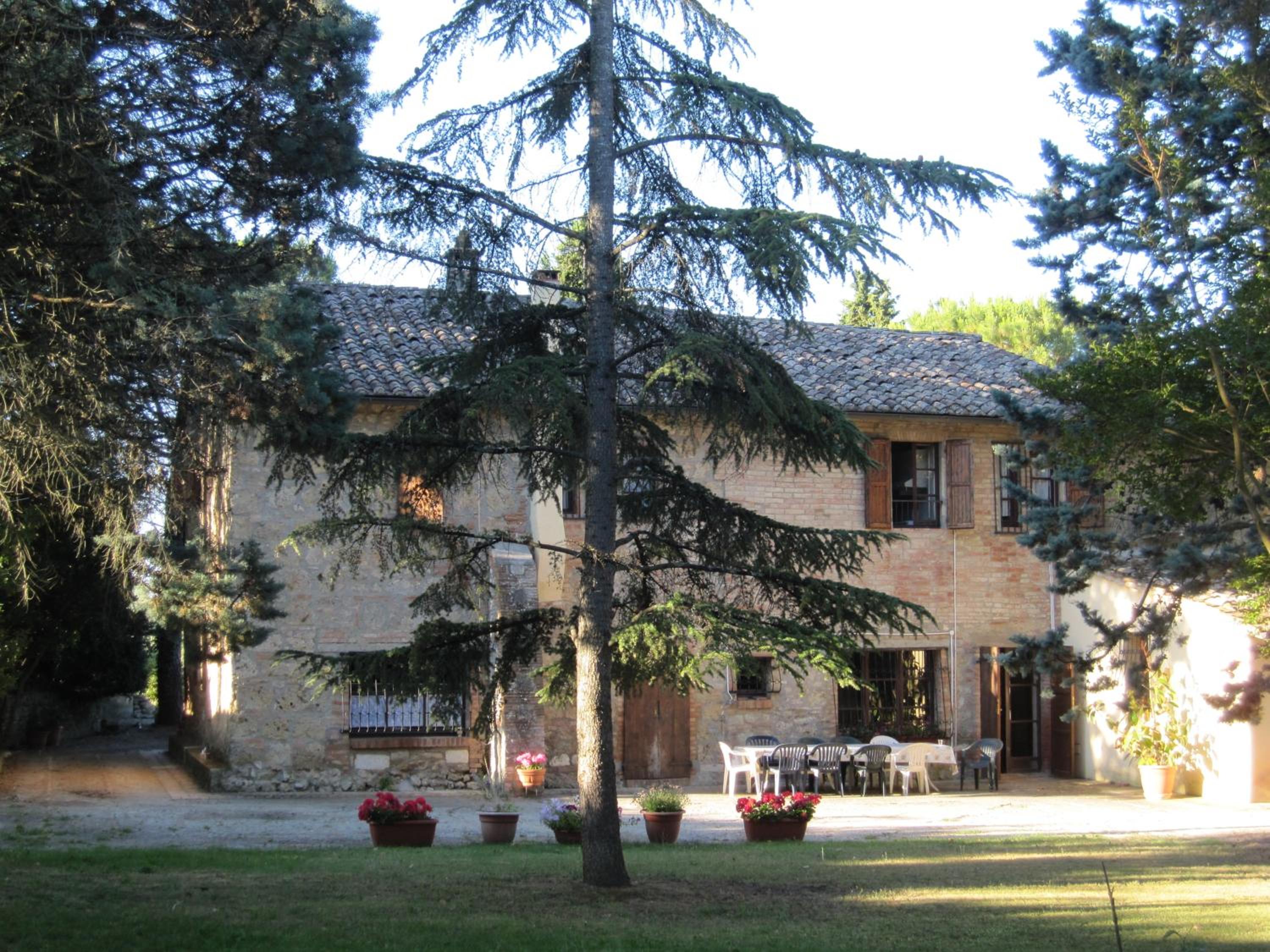 Photo 40