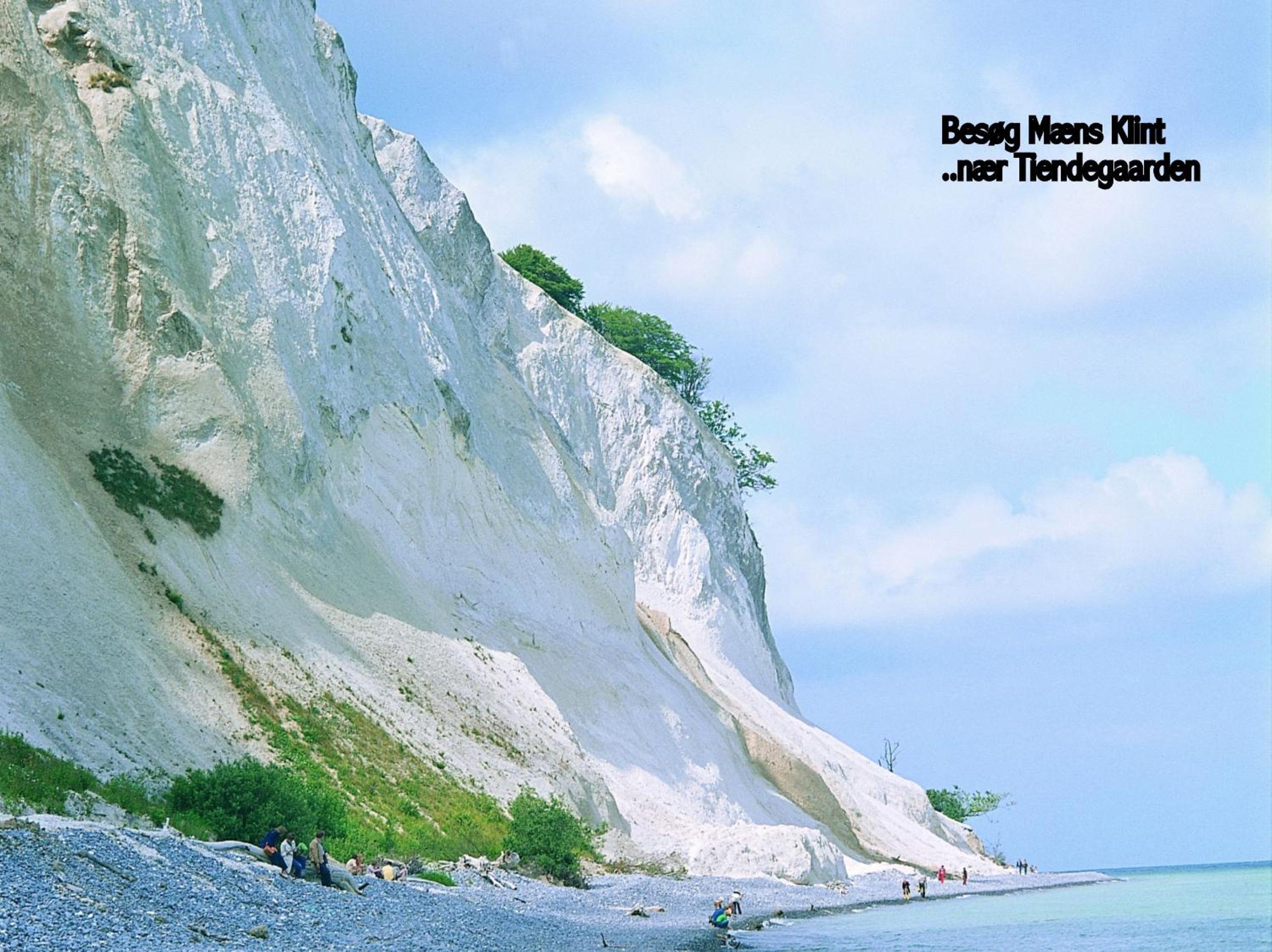 Tiendegaarden Møns Klint
