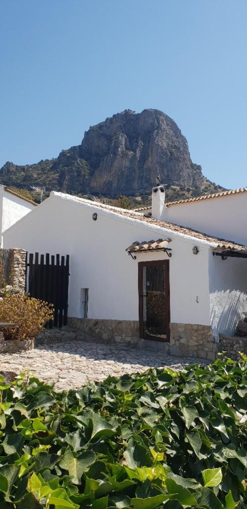 Cortijo El Pajar view 4
