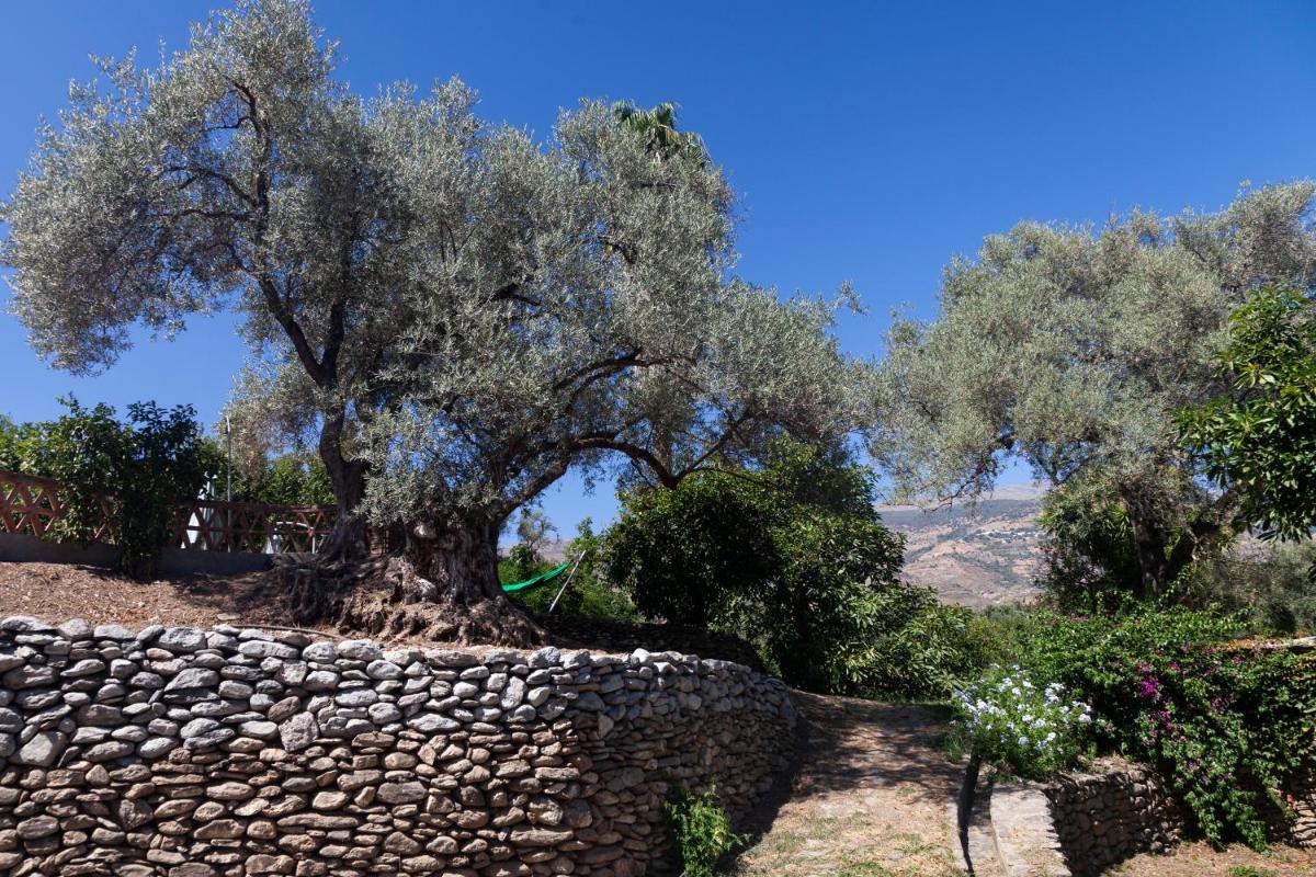 Cortijo el Azahar photo 5
