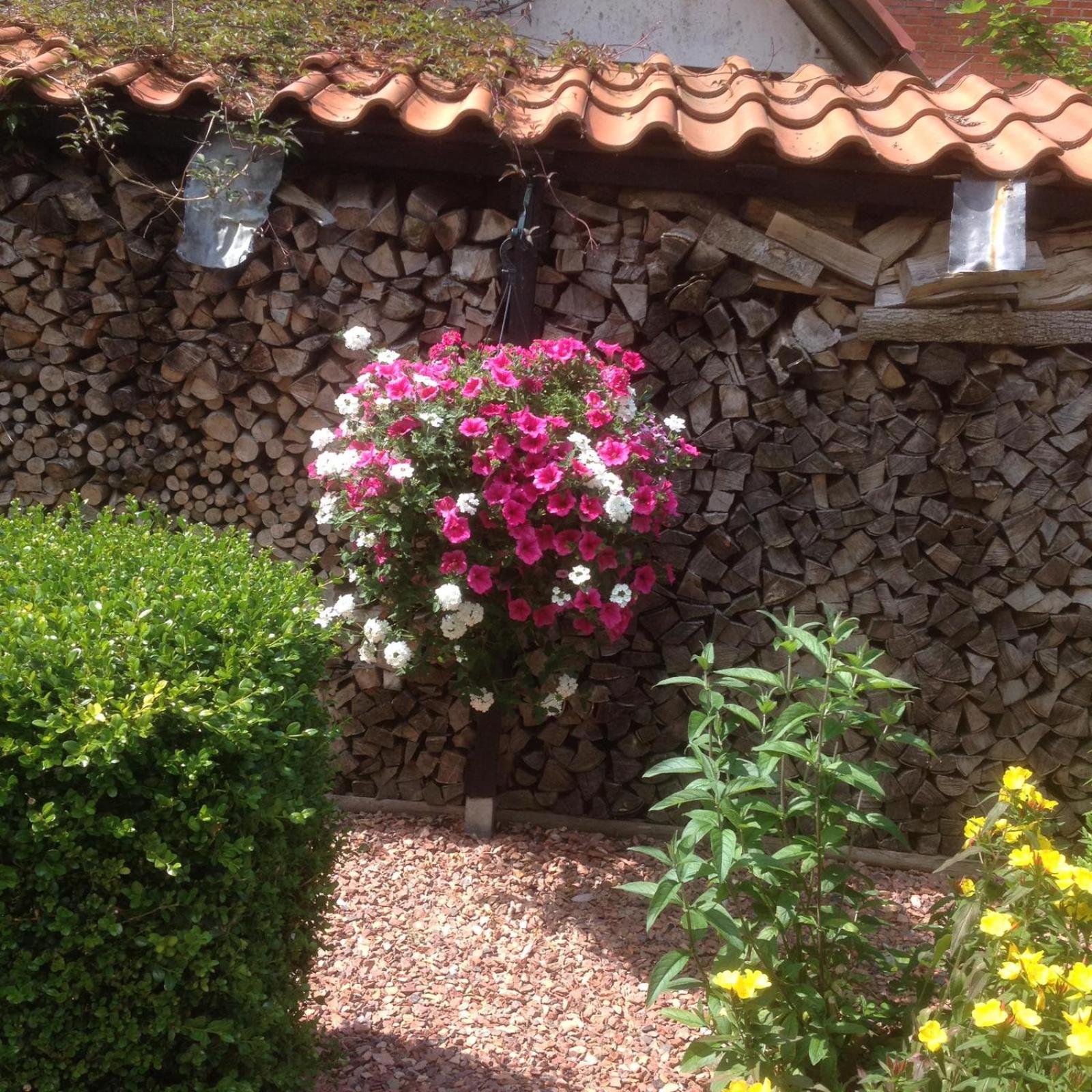 Photo 31