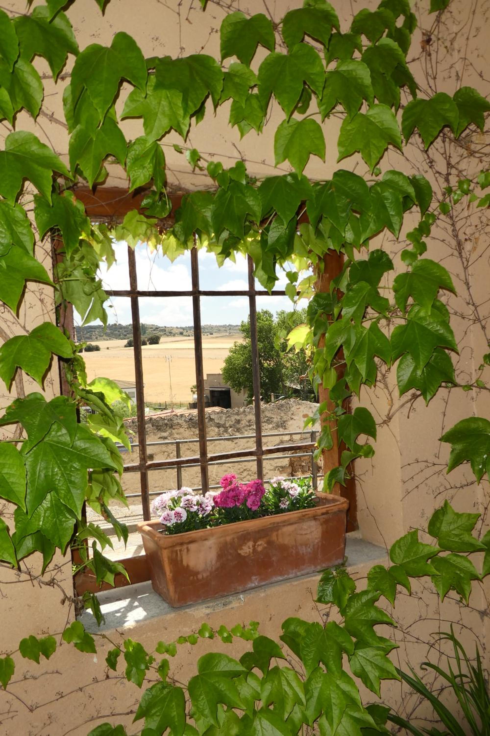Casa del Portalón view 4