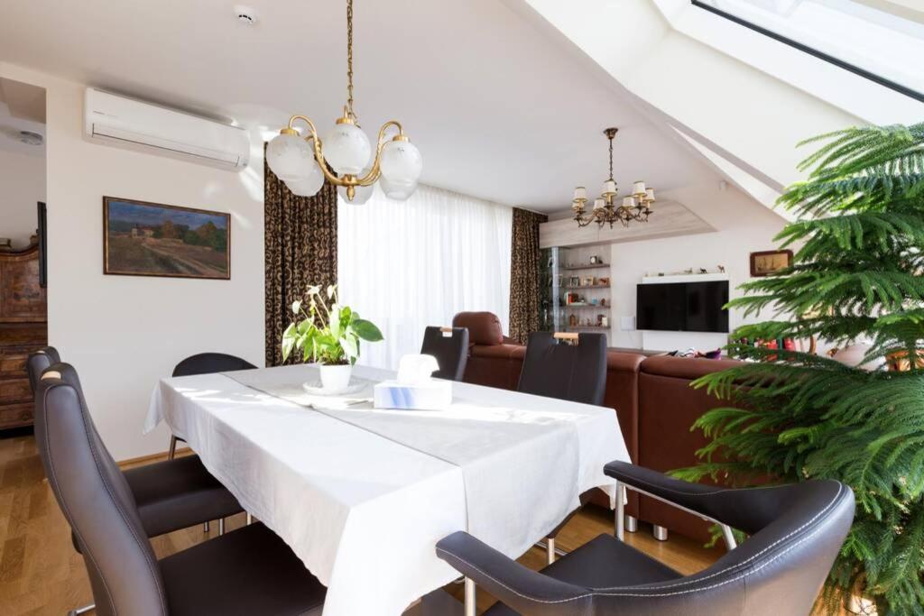 Großes Penthouse #12 mit Terrasse und Aussicht