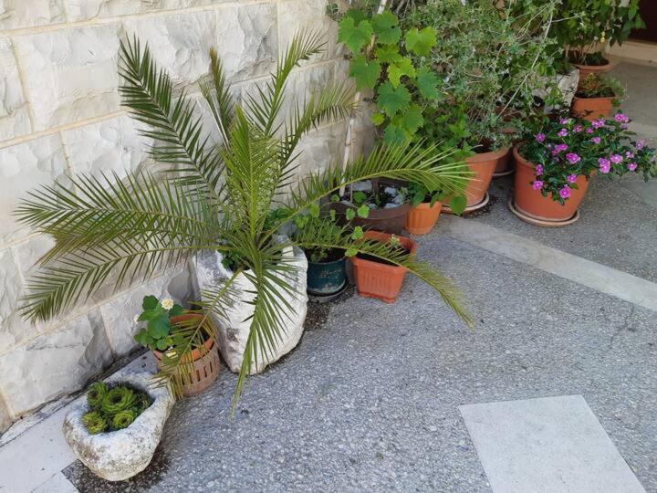 Photo 51