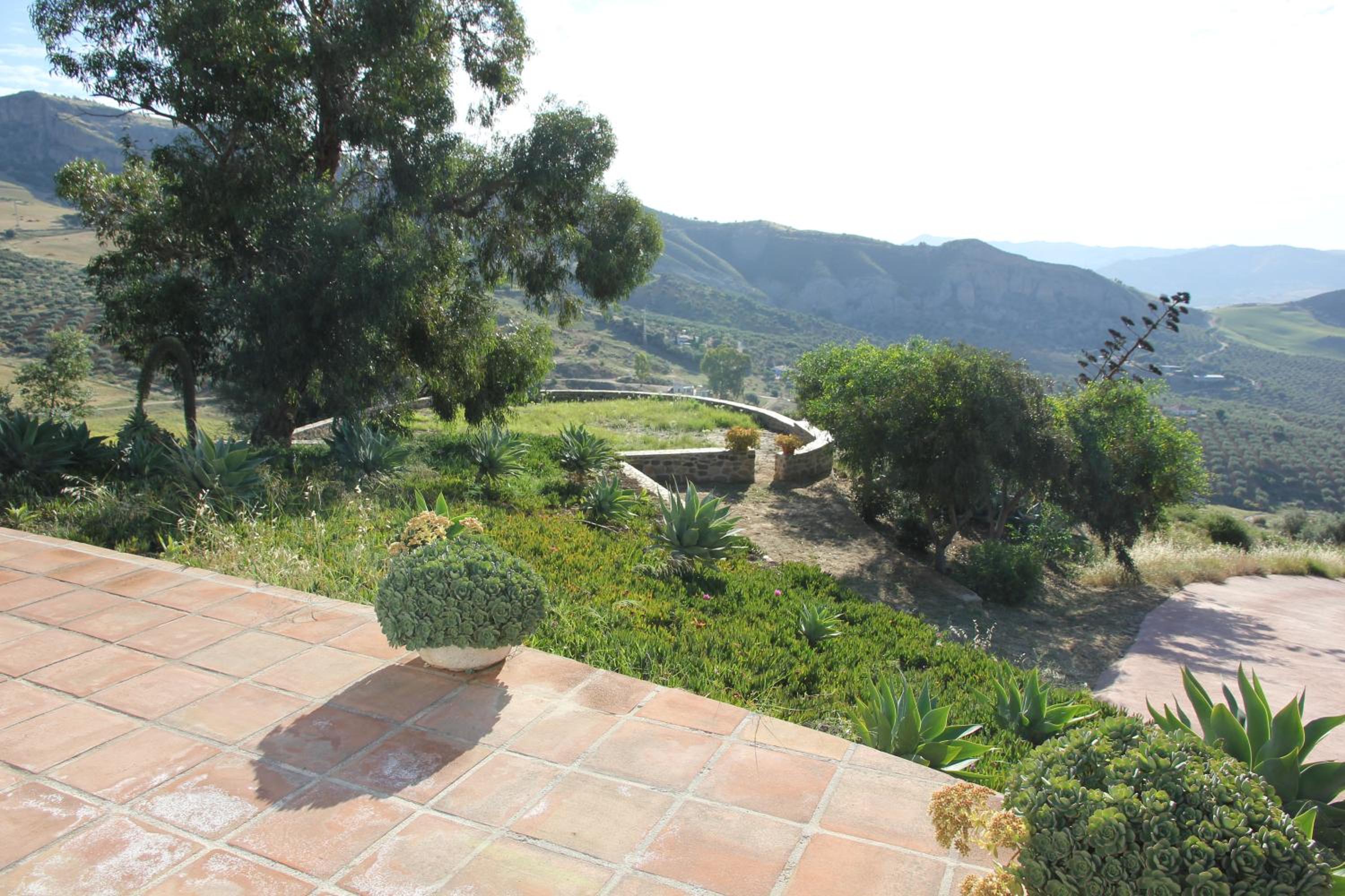 Casa Siri by Rosas Cantares photo 4