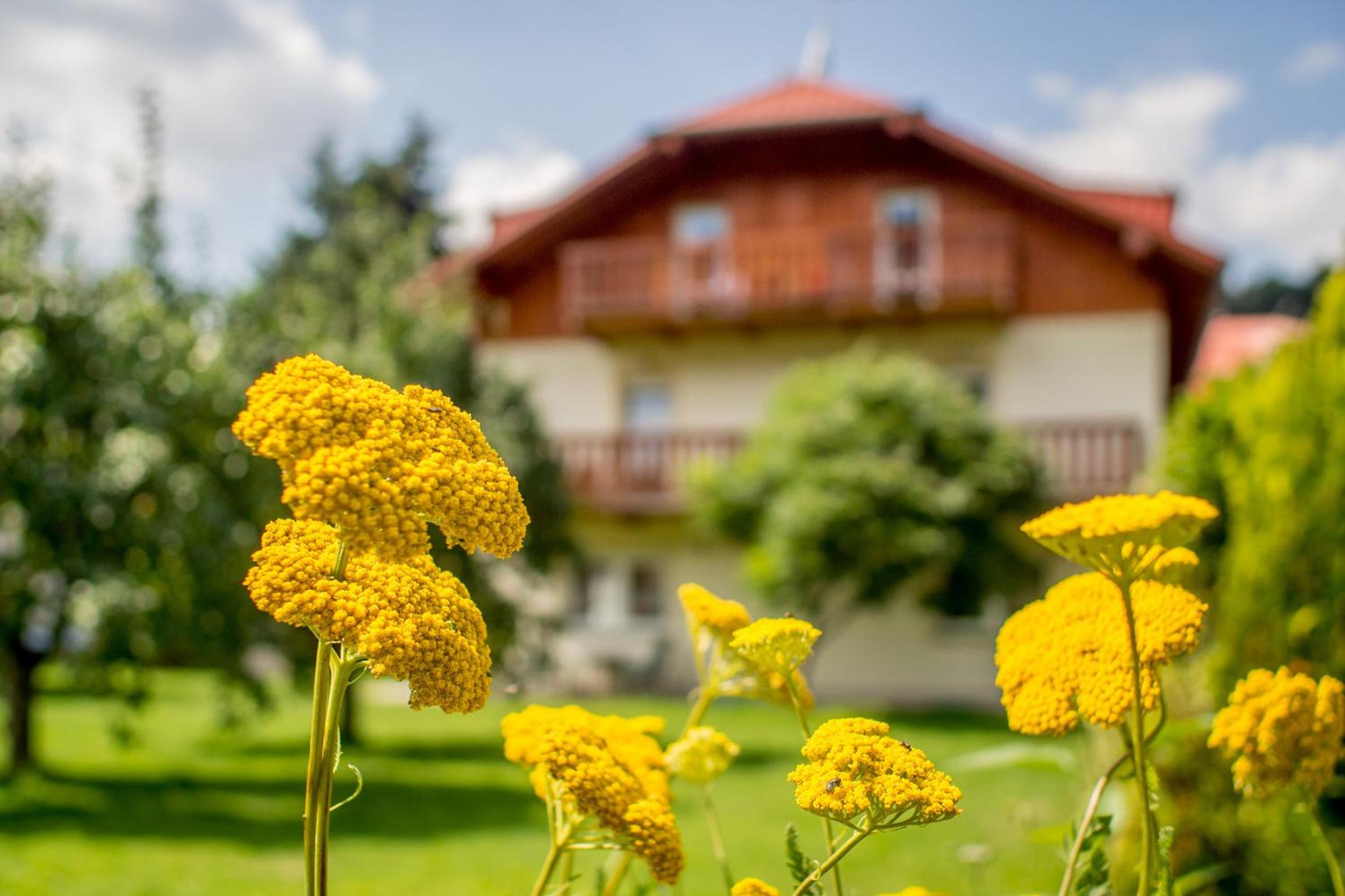Pension Rieger