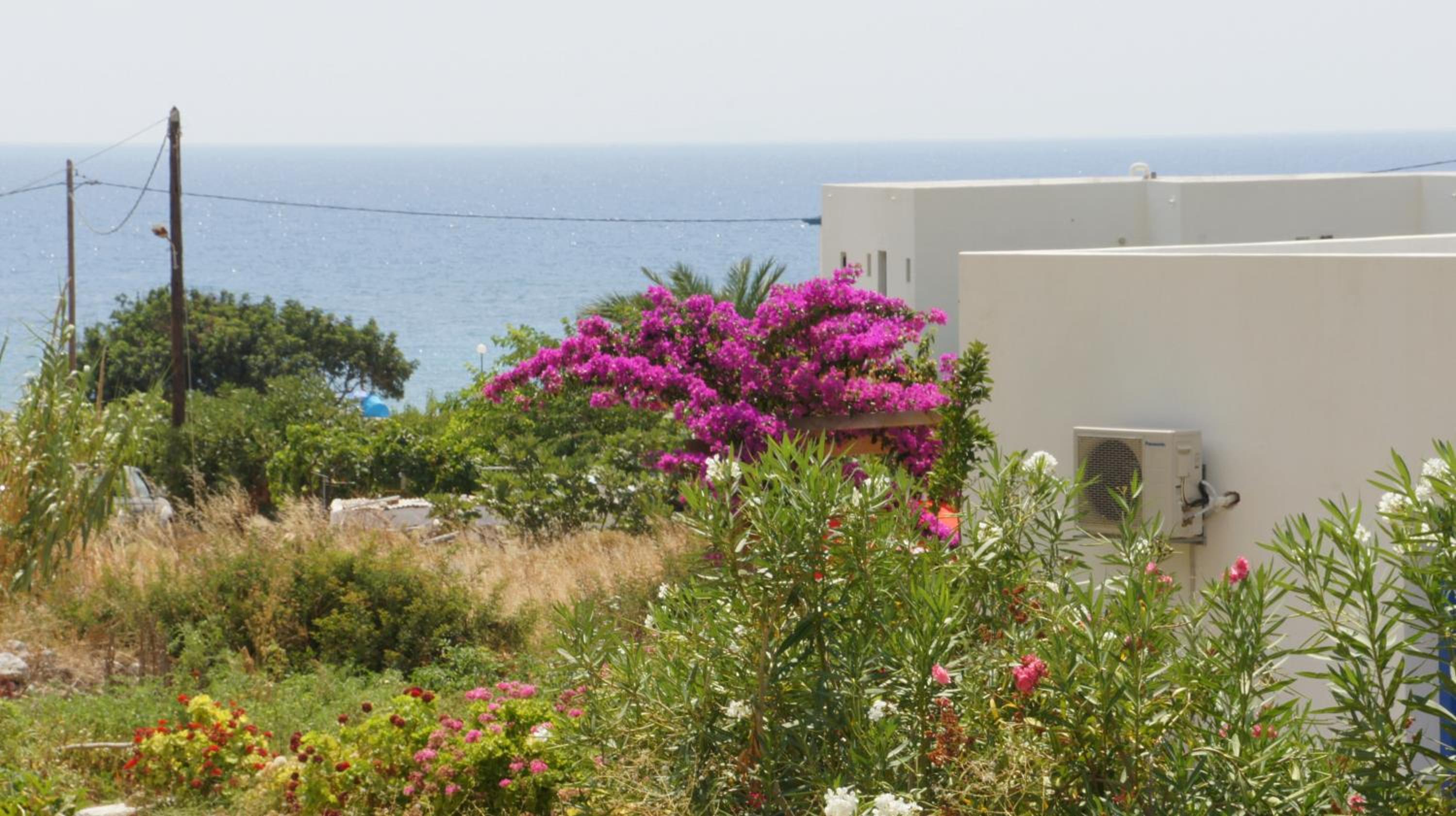 Pleiades Apartments photo 5