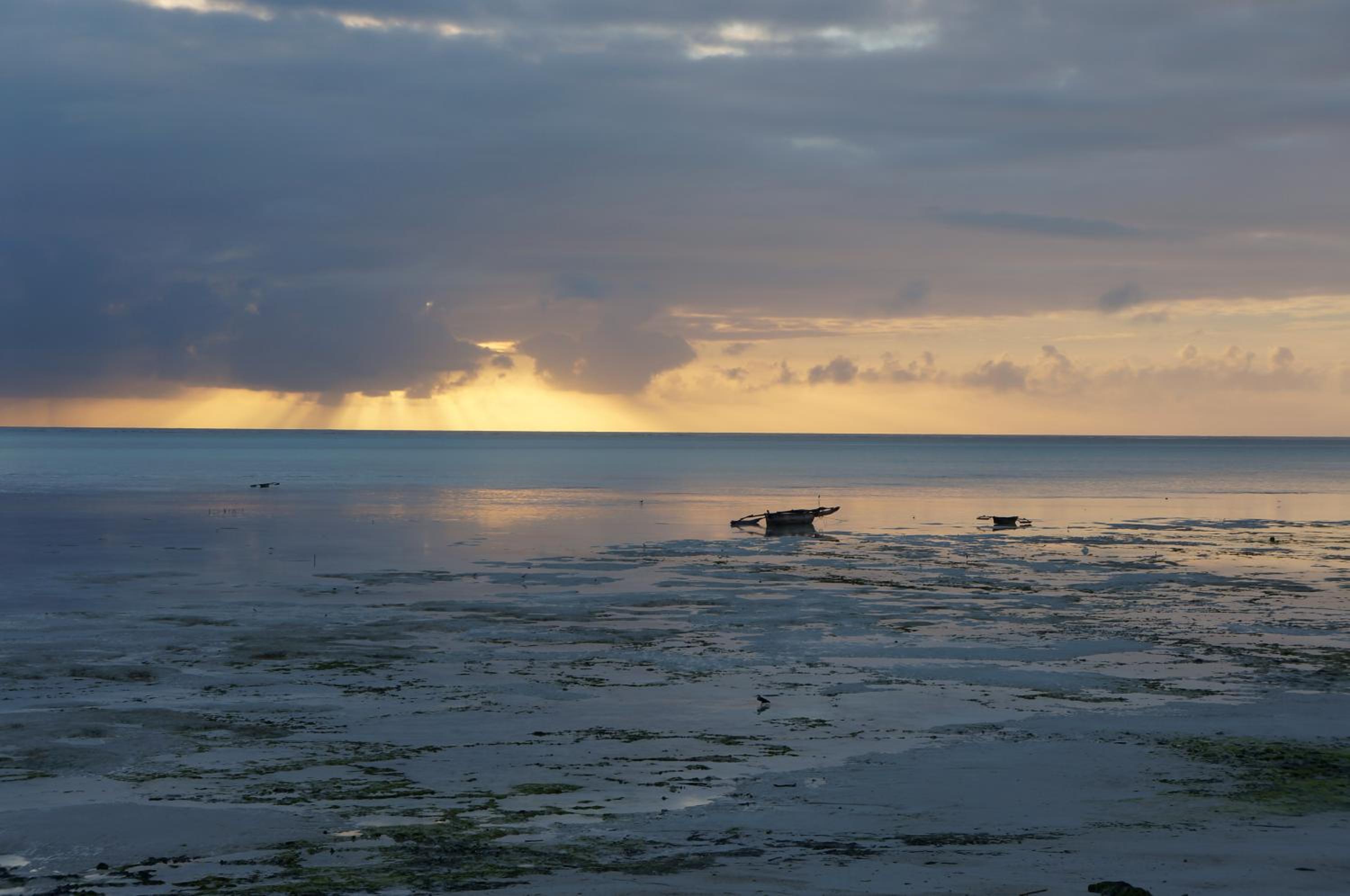 Art Hotel Zanzibar