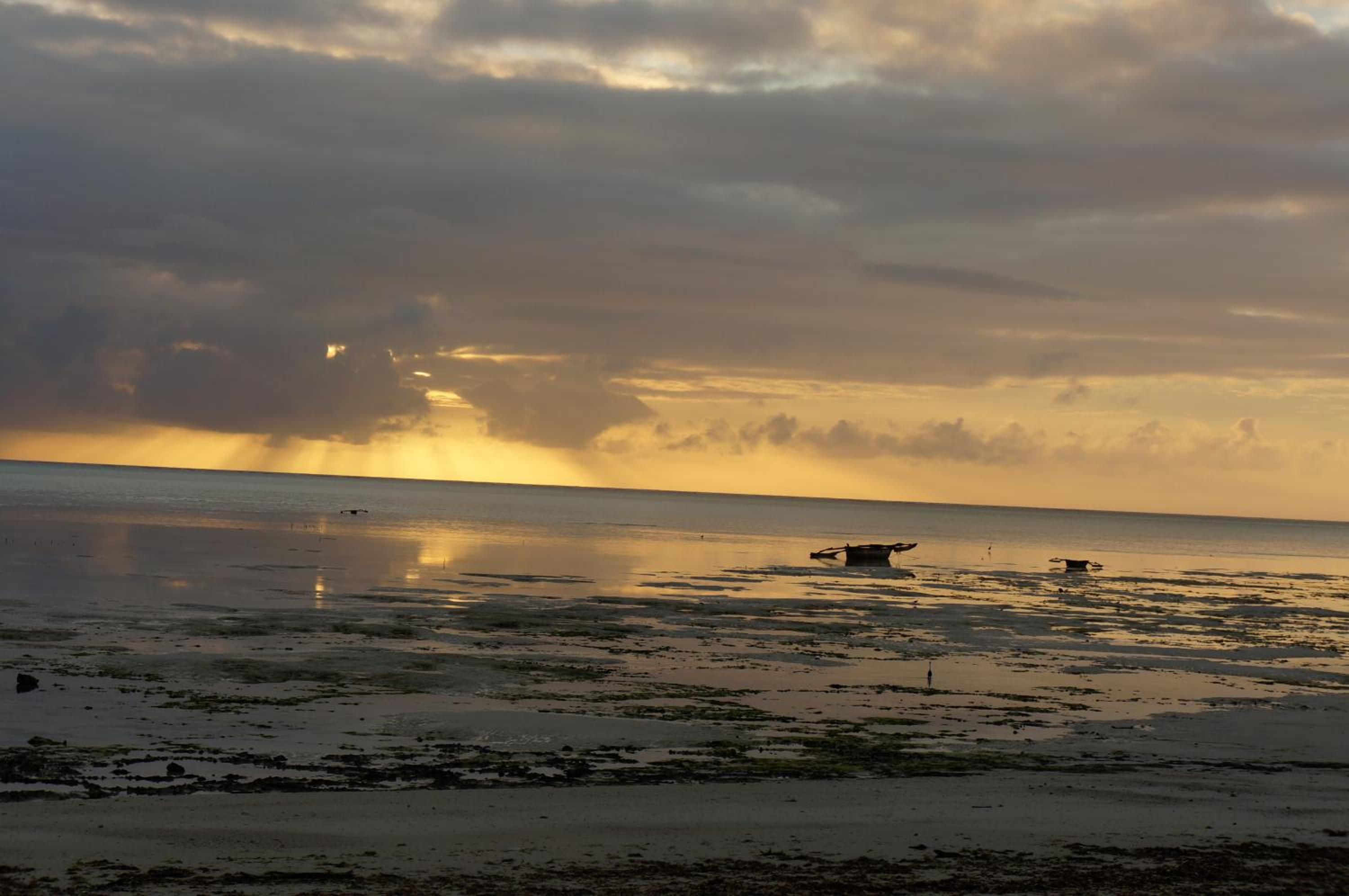 Art Hotel Zanzibar