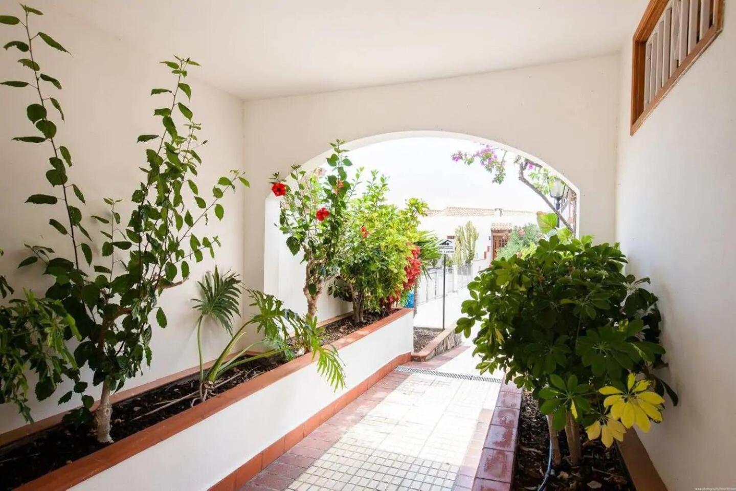 1 Bedroom Apartment for 4 people in Tenerife view 3