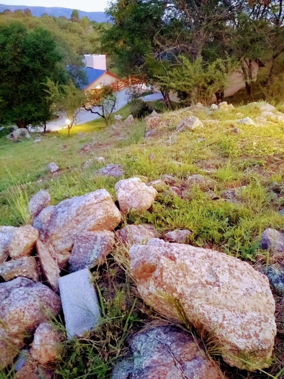 CAMINITOS