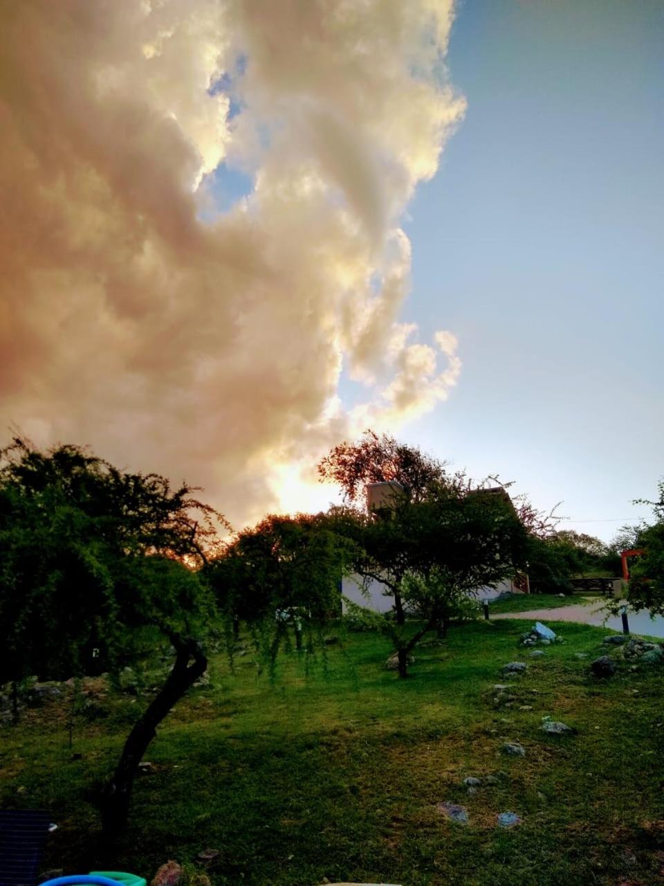 CAMINITOS