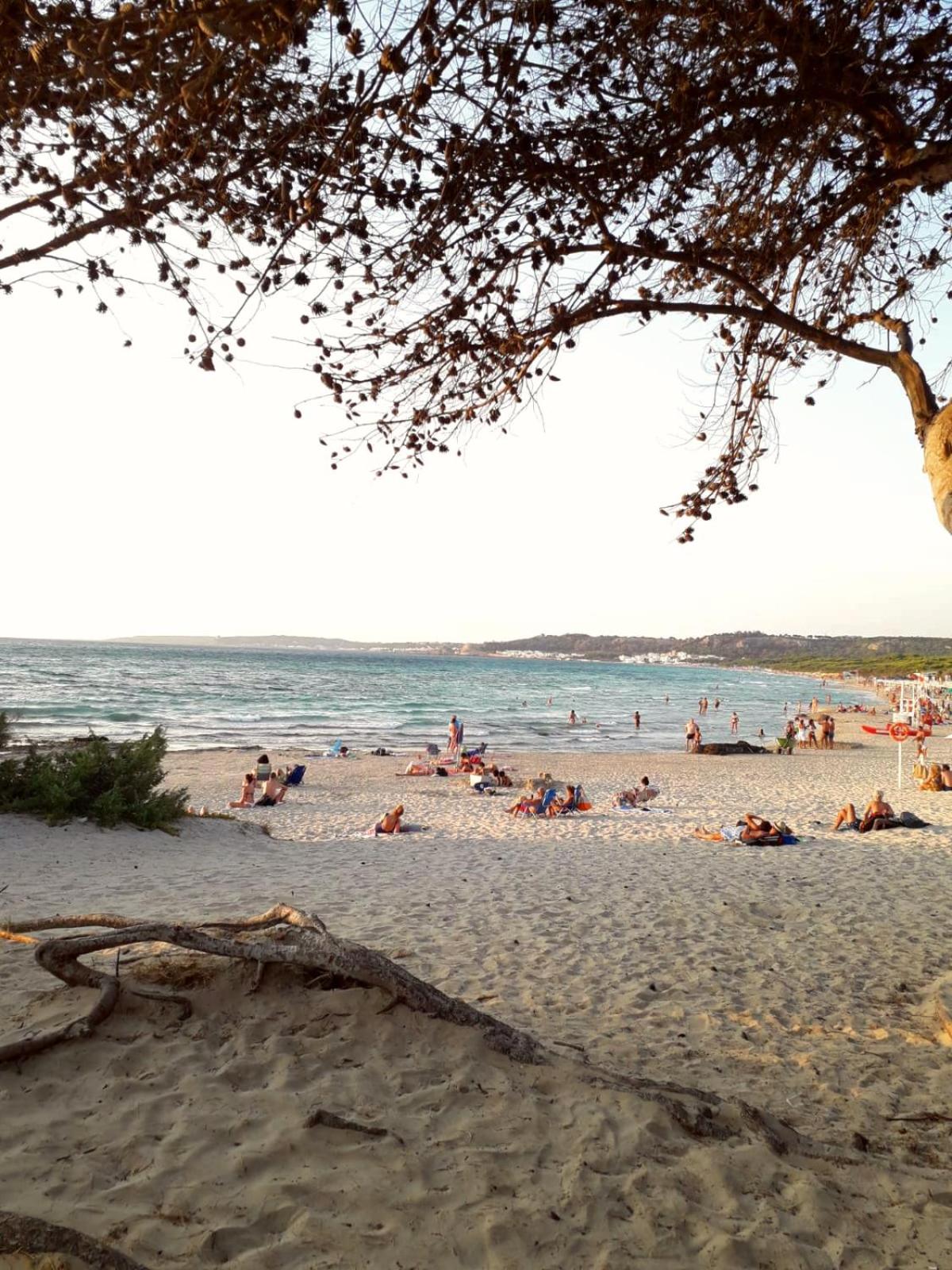 Casa Andromeda