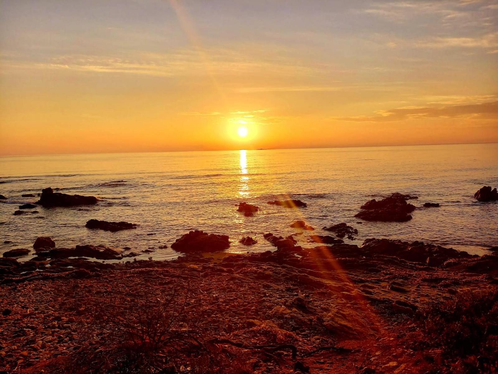 Photo 49