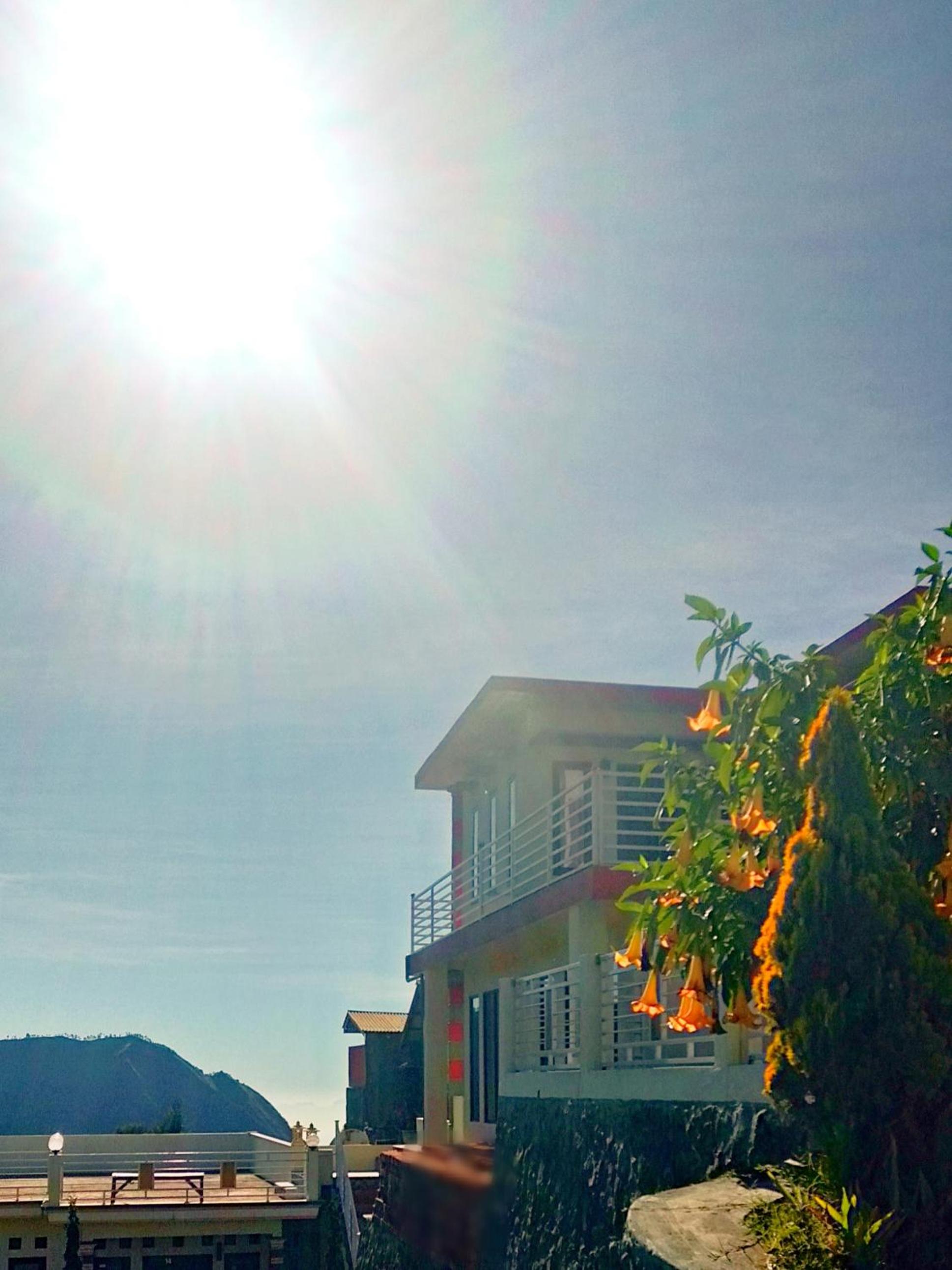 Bromo Otix Guest House view 3