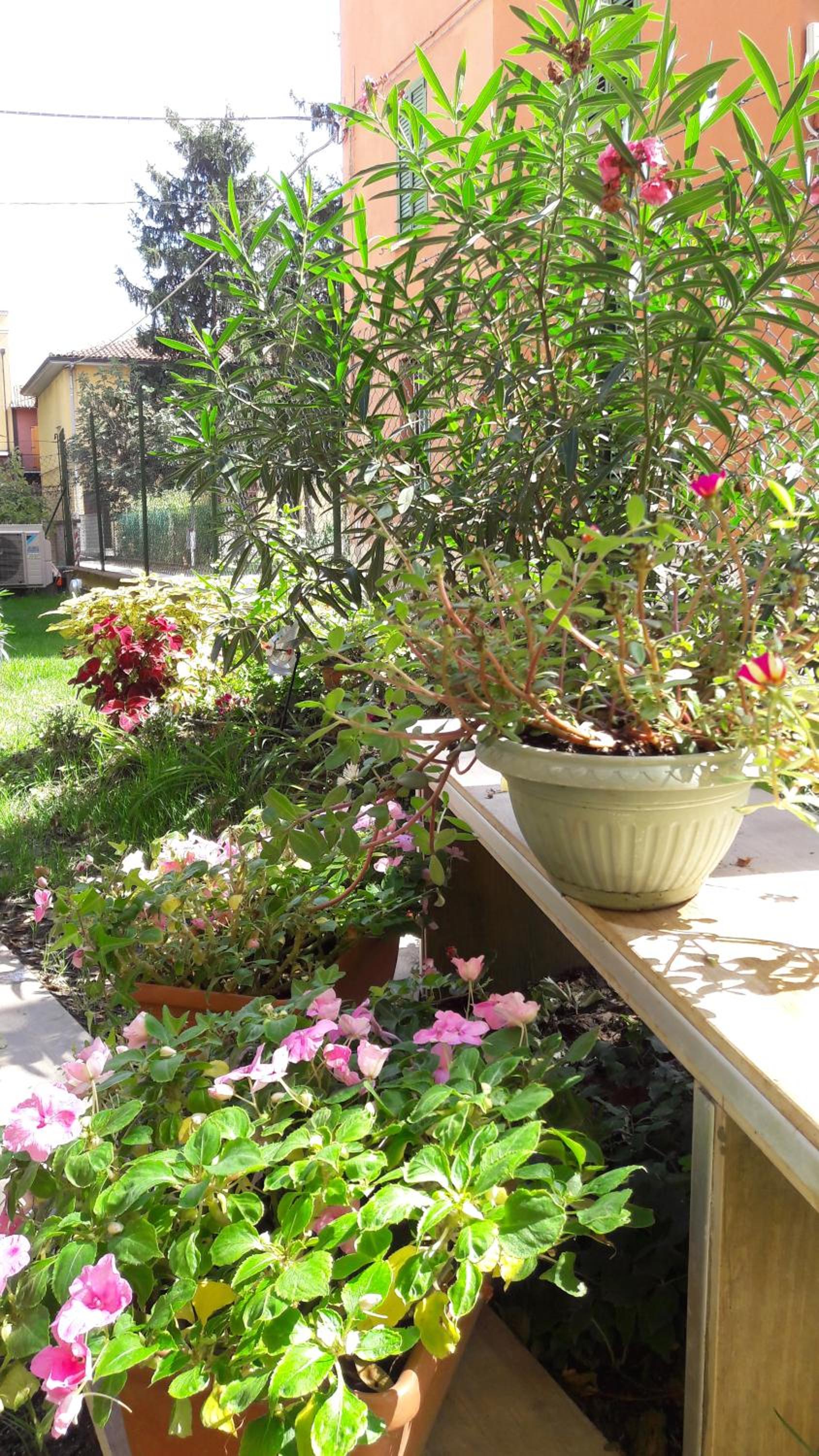 Photo 44