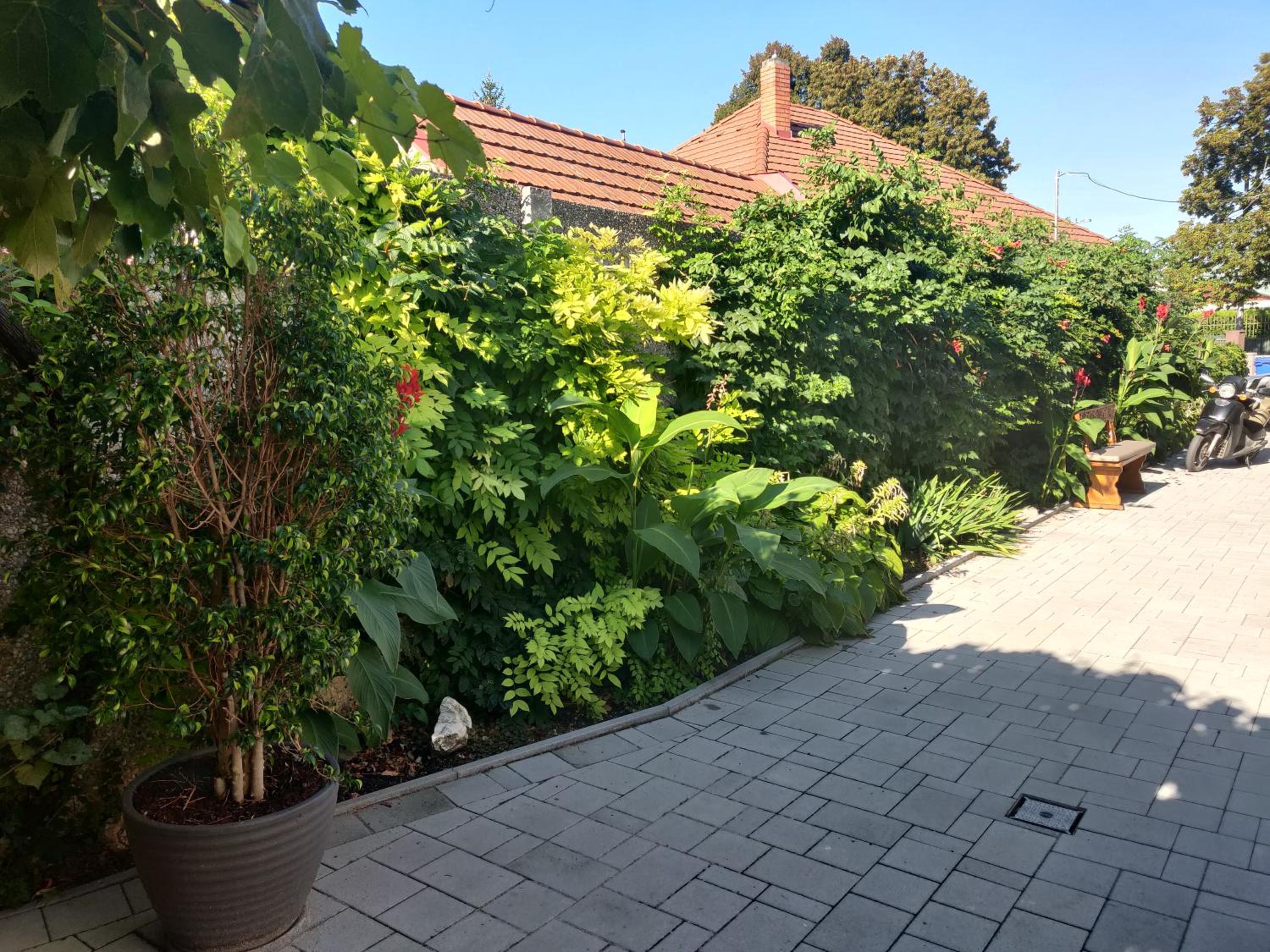 Photo 18