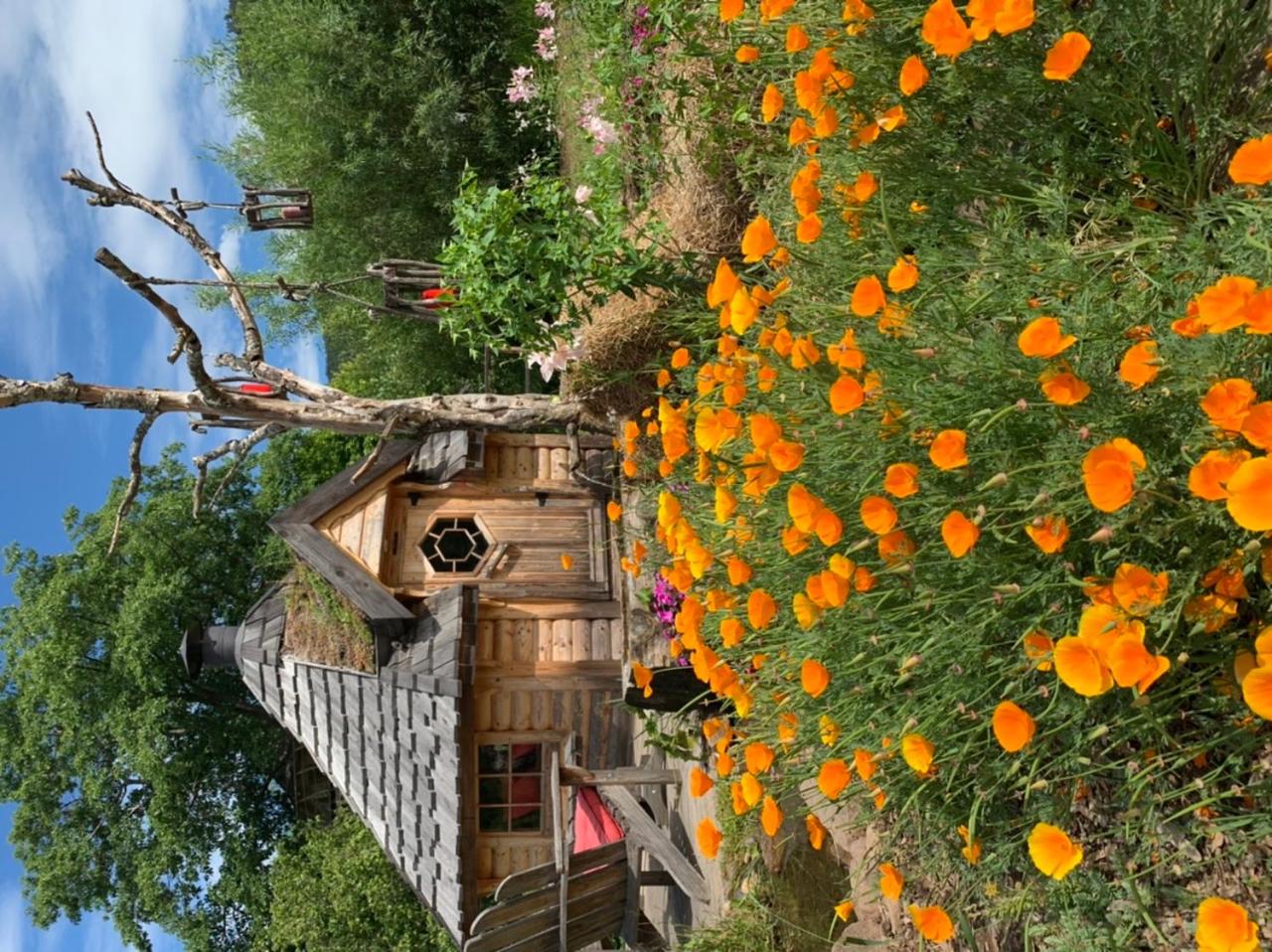 Le chalet des Cambuses, photo 4