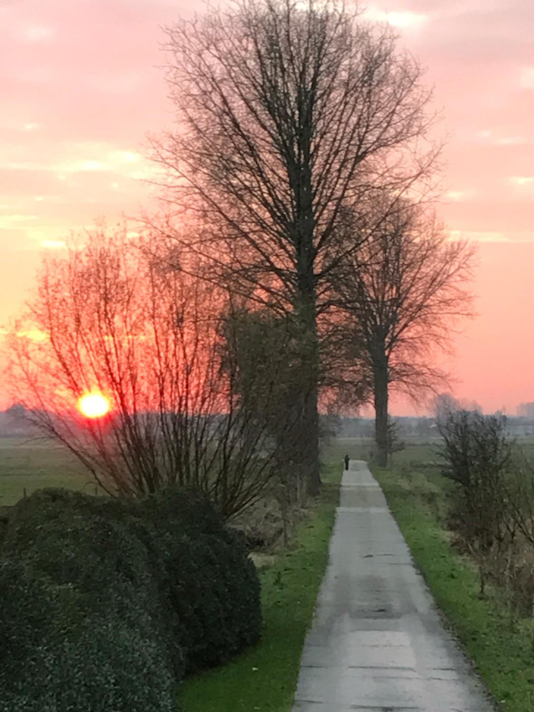 De Zonnebrug