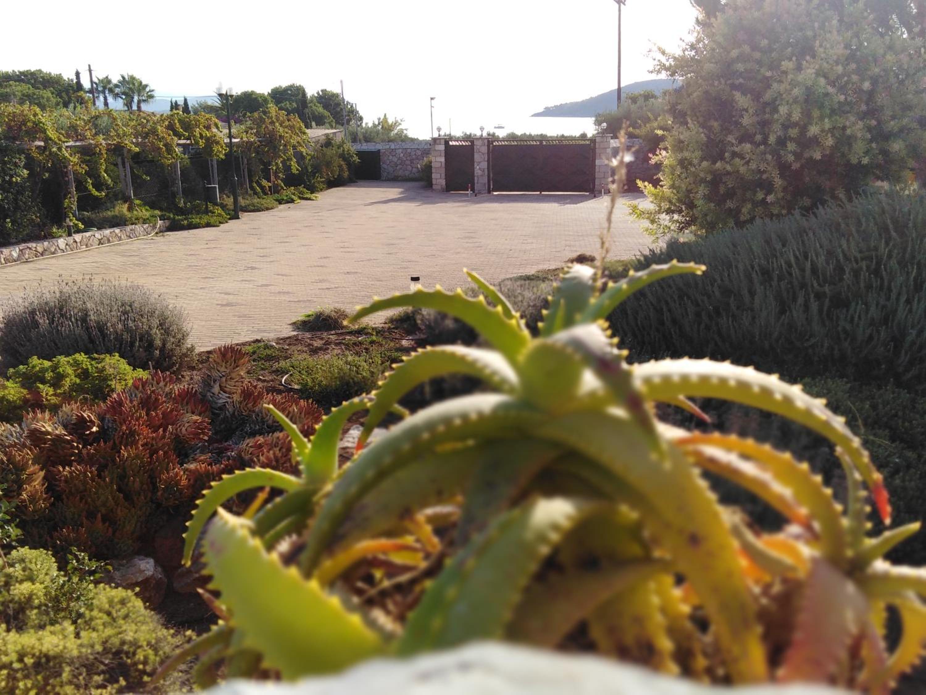 Ermioni Villas view 4