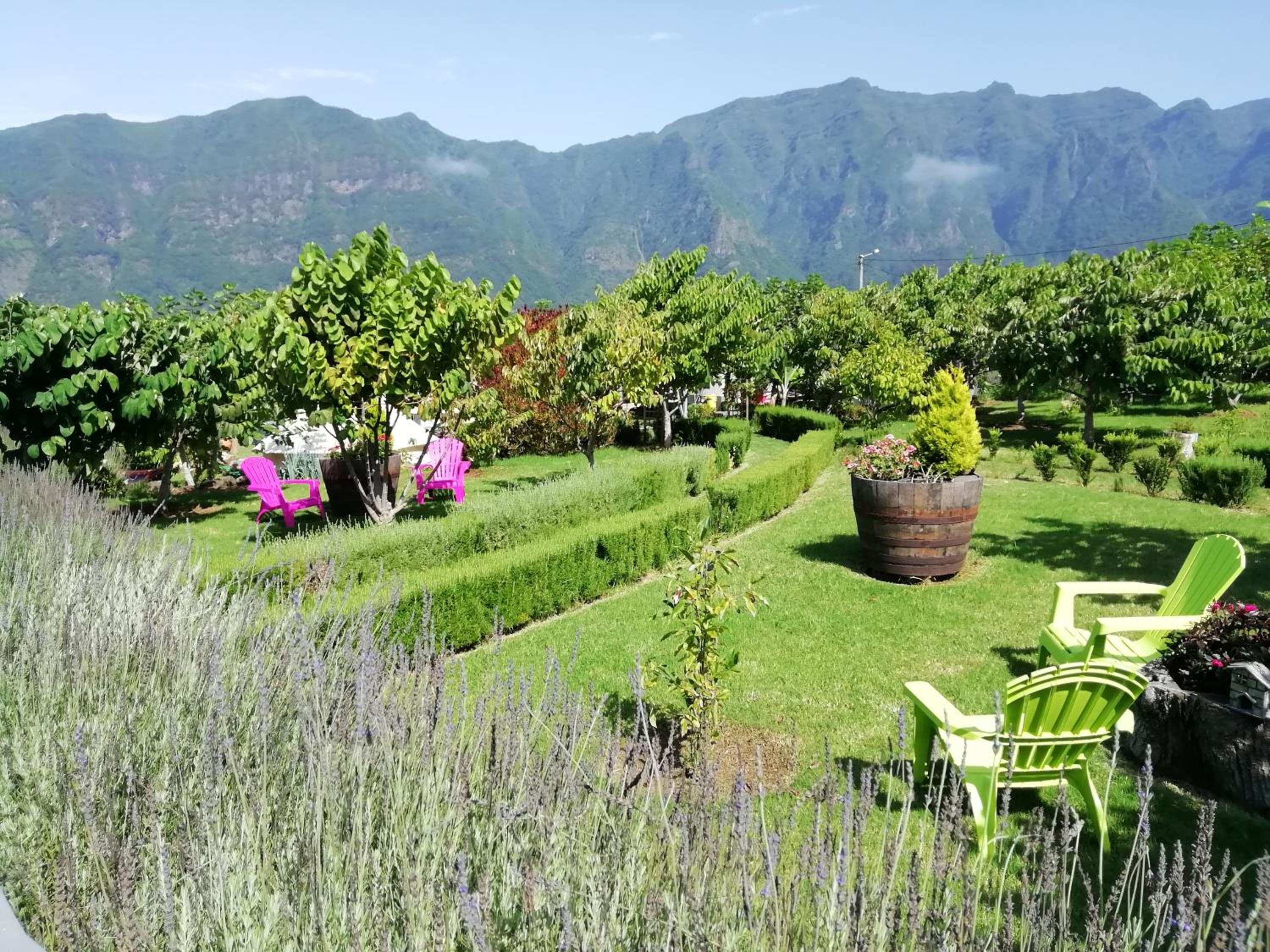 Granny's farm view 4